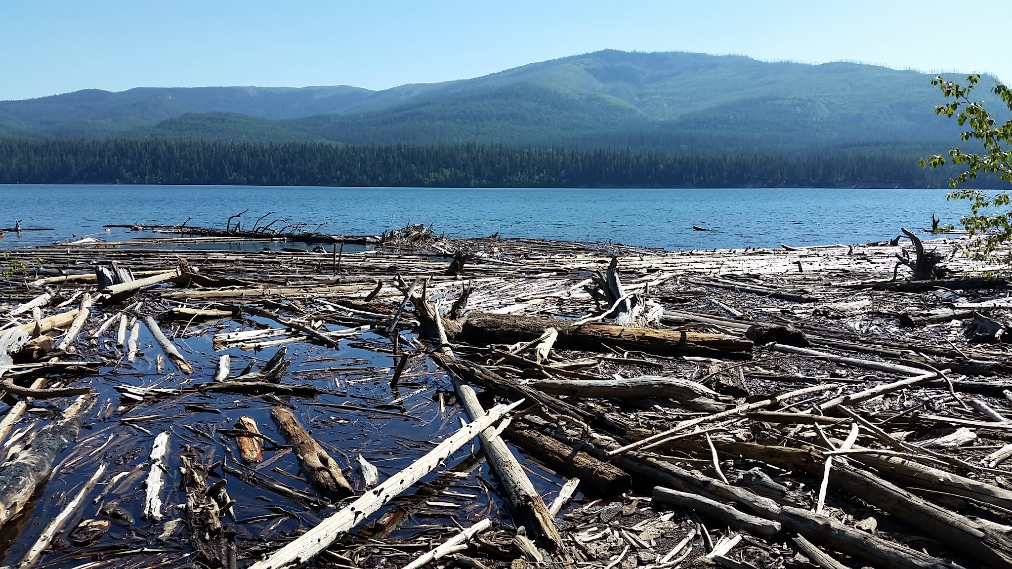 Peter'S Creek Campground