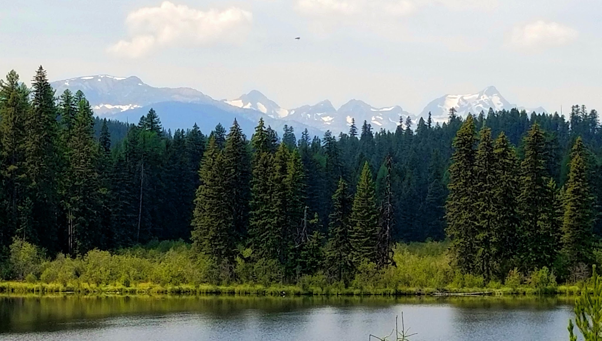 Peter'S Creek Campground