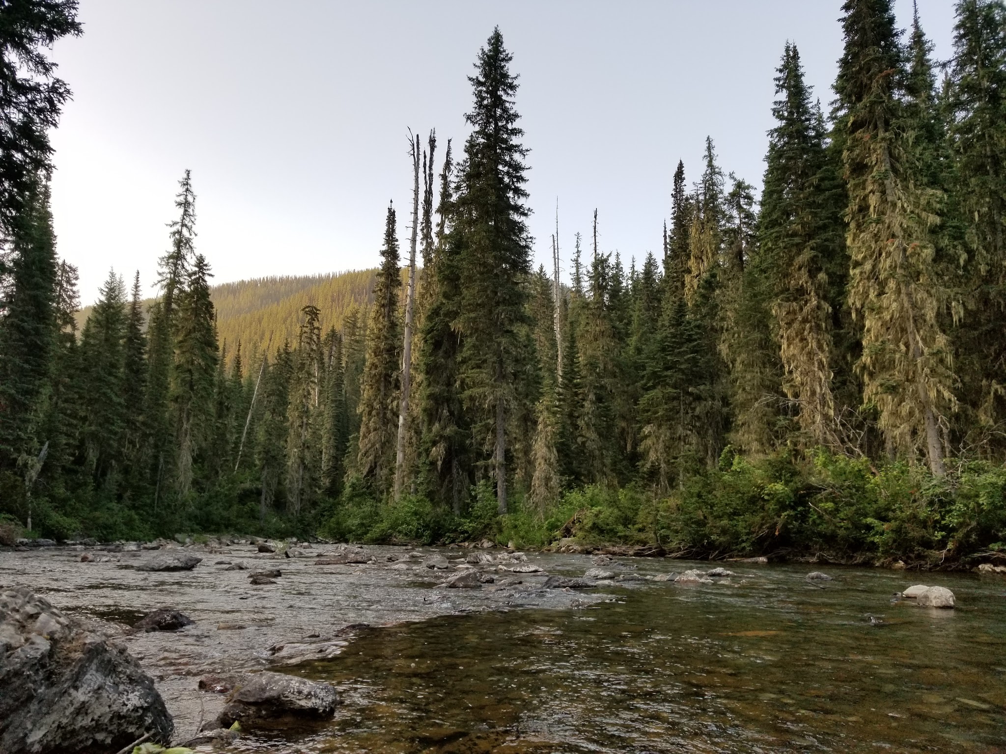 Peter'S Creek Campground
