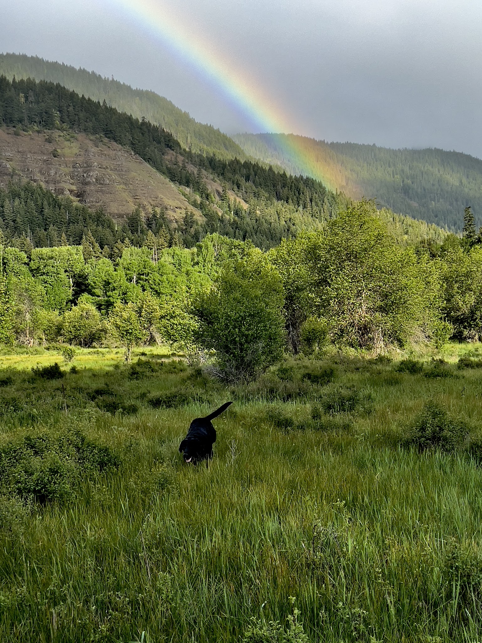 Peterson Prairie Cabin