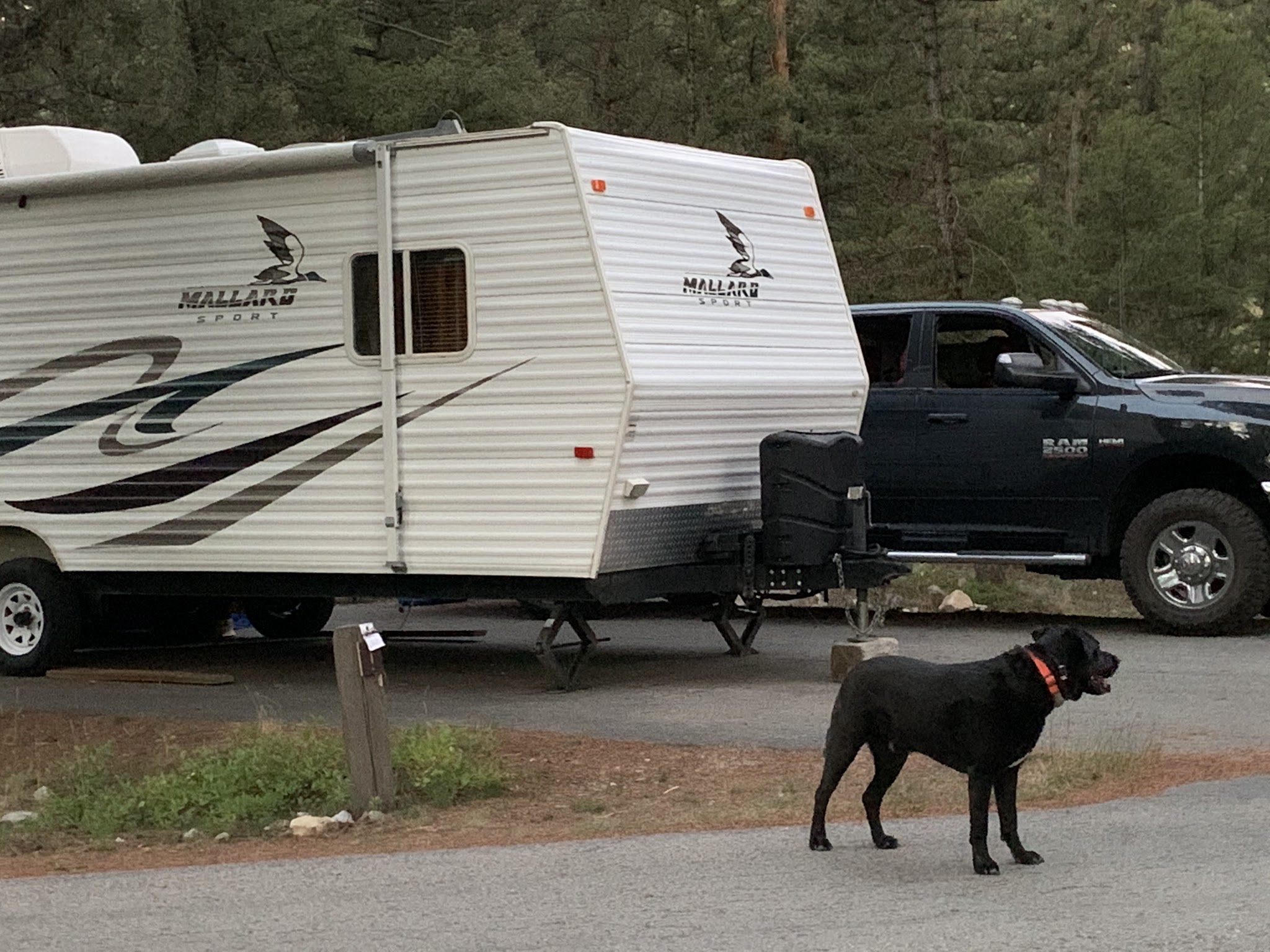 Pettengill Campground