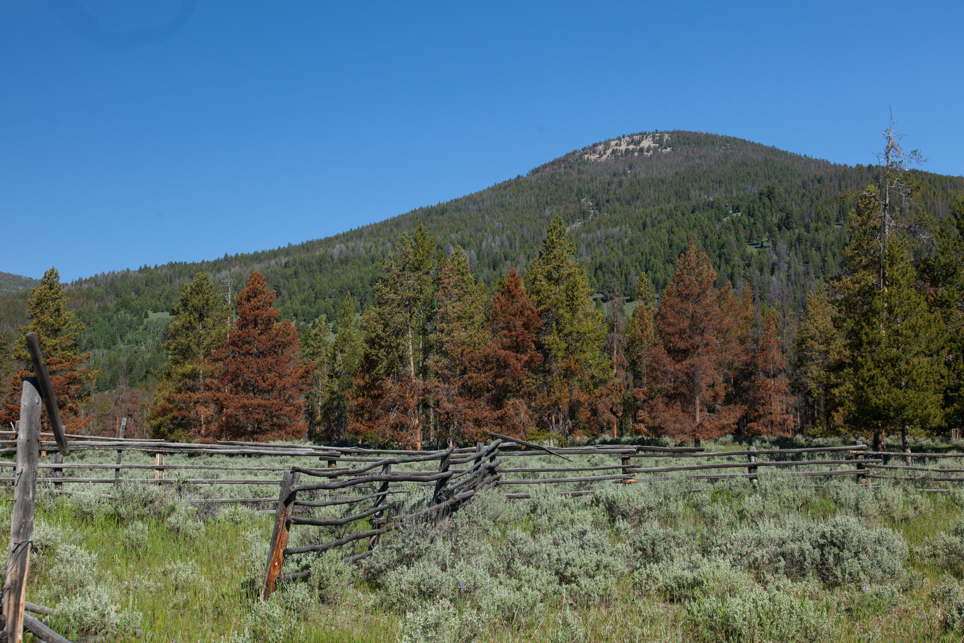 Pettengill Campground