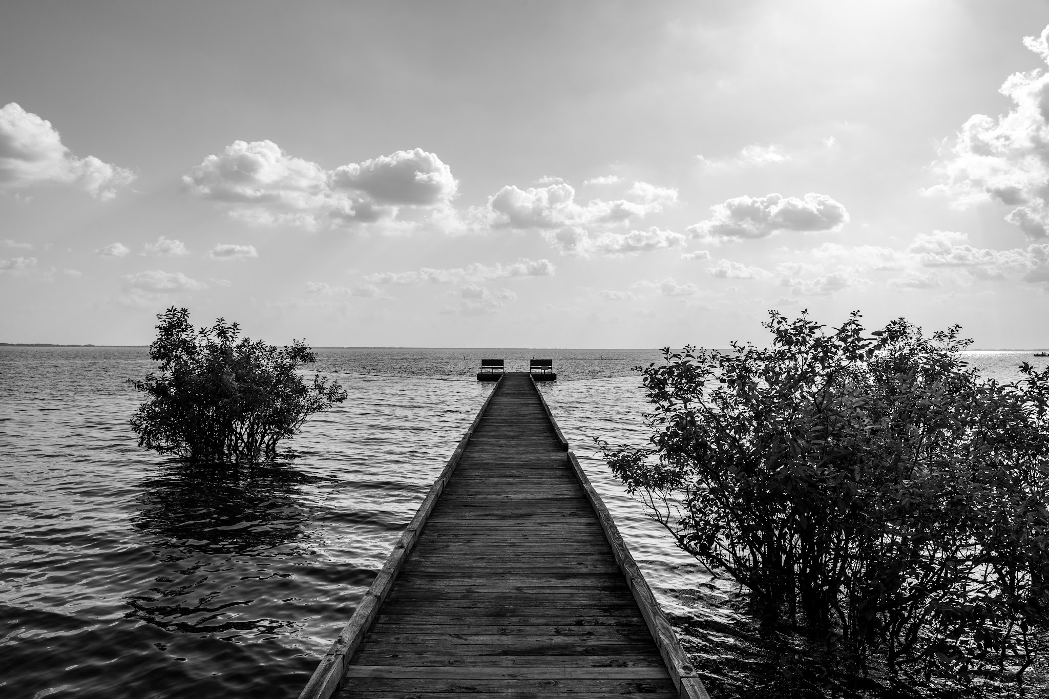 Pettigrew State Park