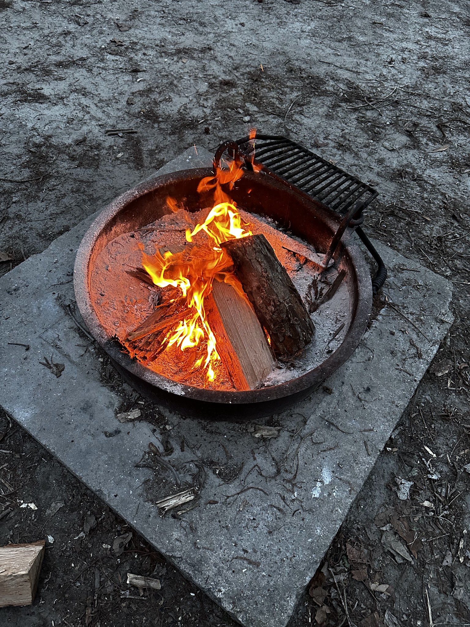 Pettigrew State Park