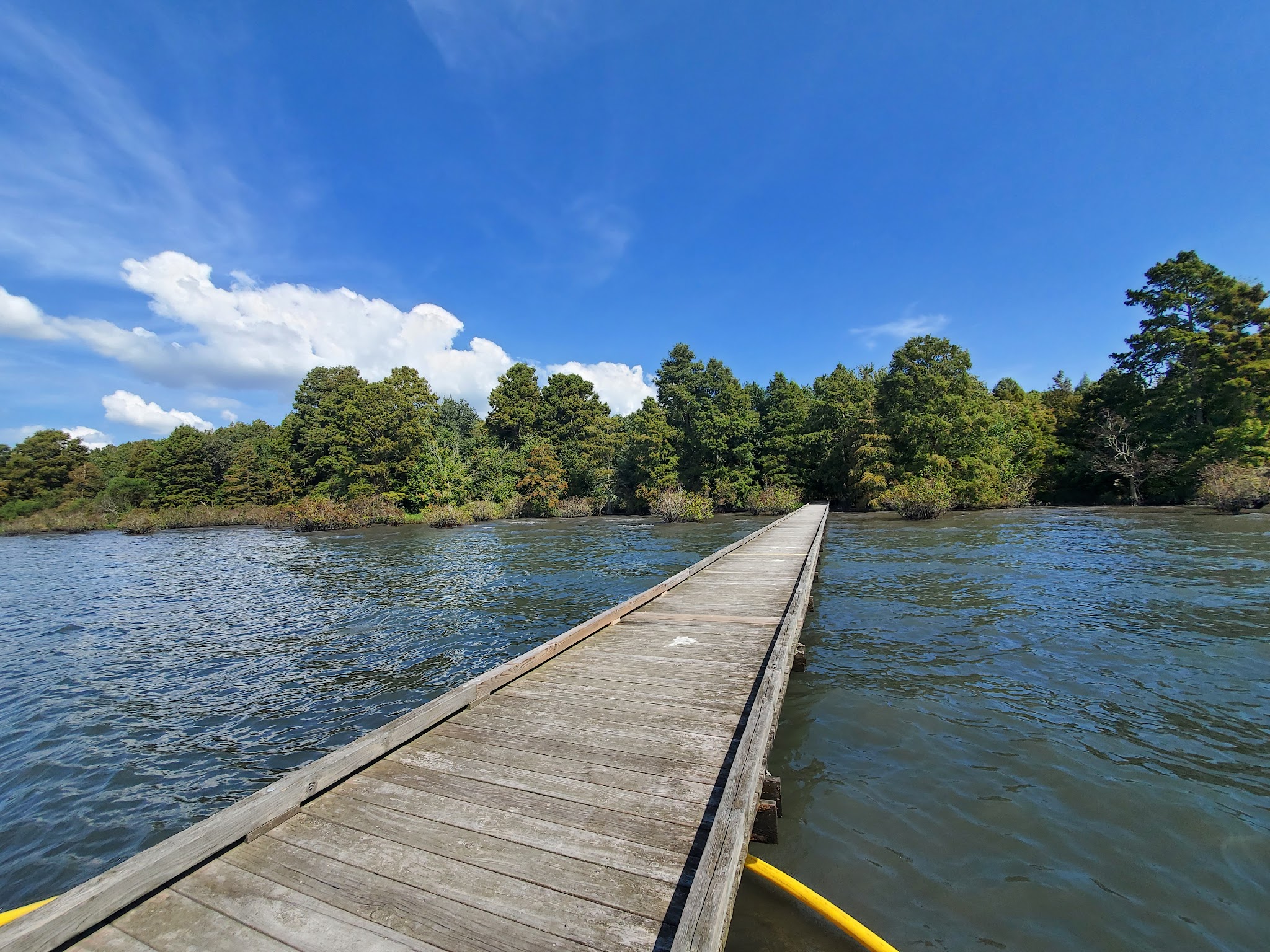 Pettigrew State Park