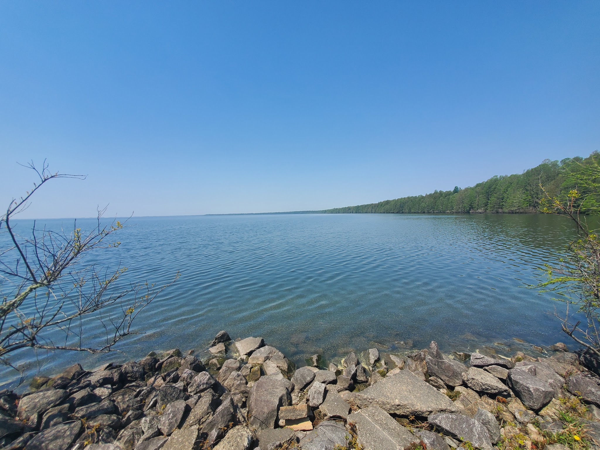 Pettigrew State Park