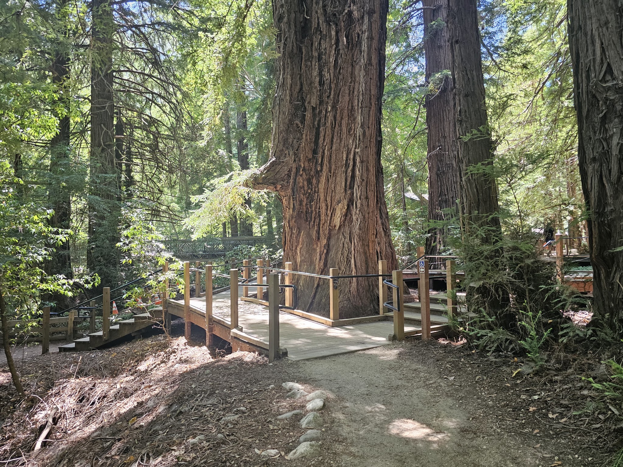 Pfeiffer Big Sur Campground