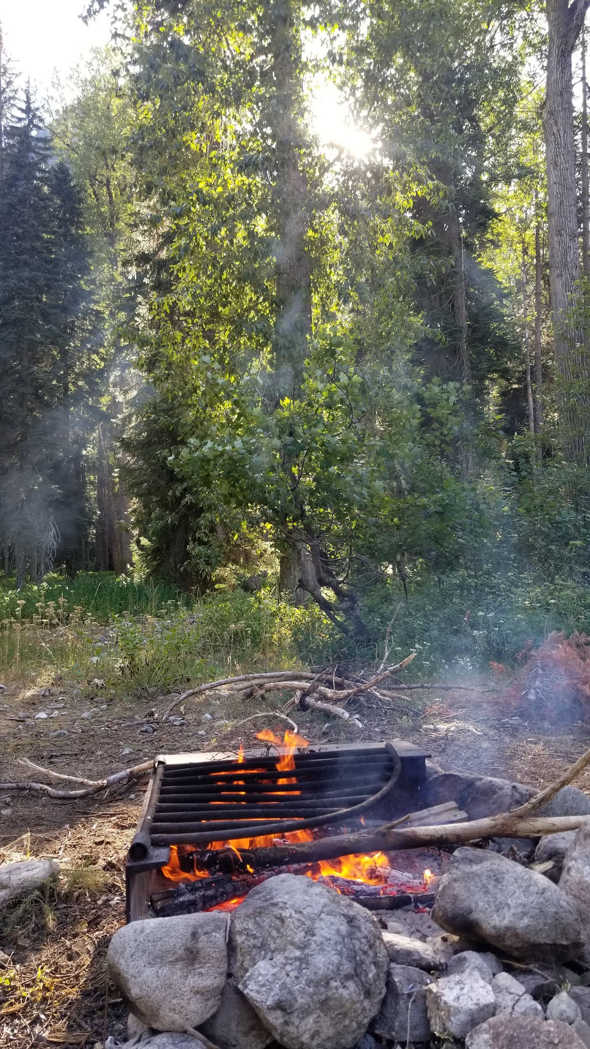 Phelps Creek Campground/Horse Camp