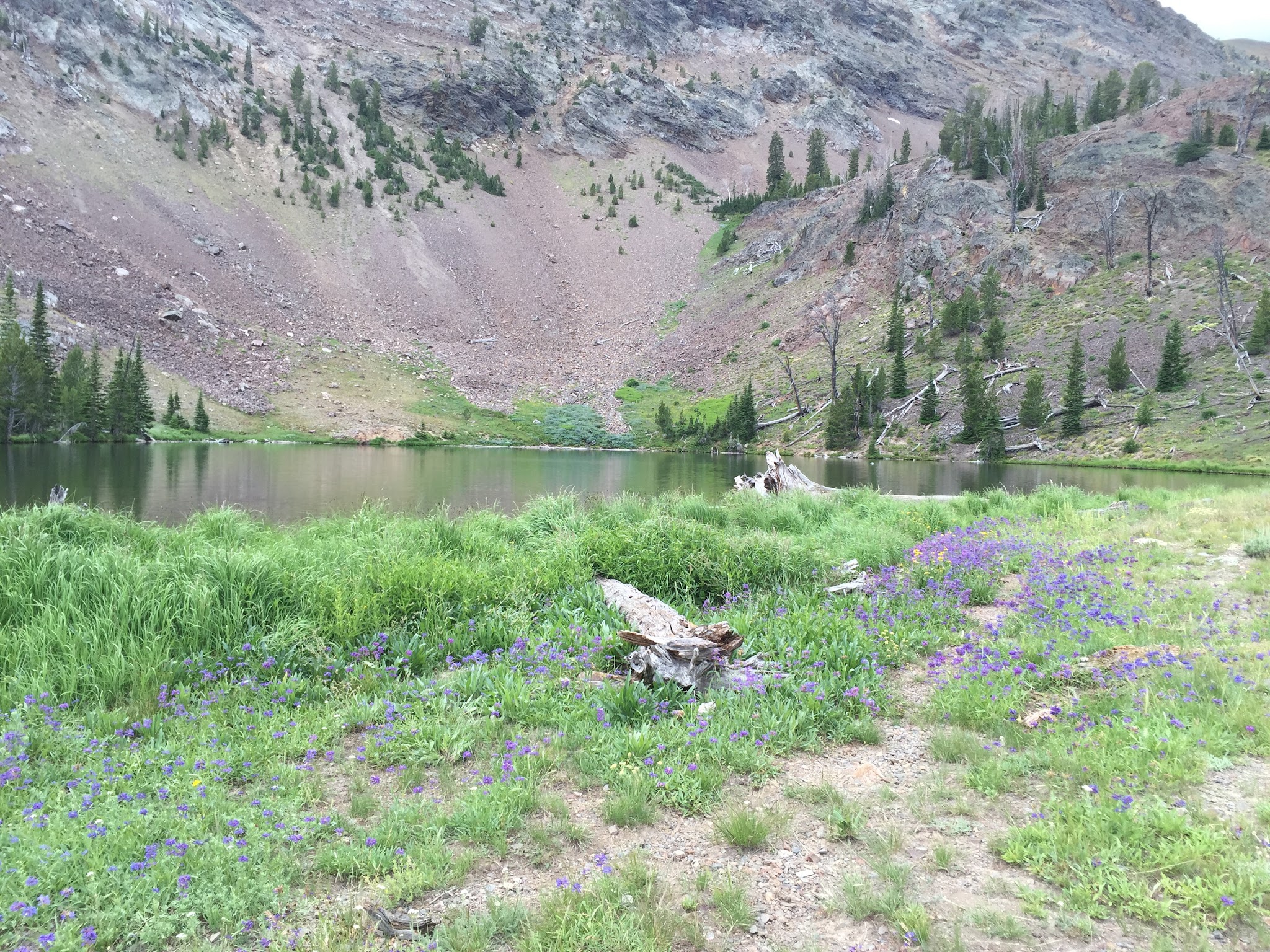 Phi Kappa Campground