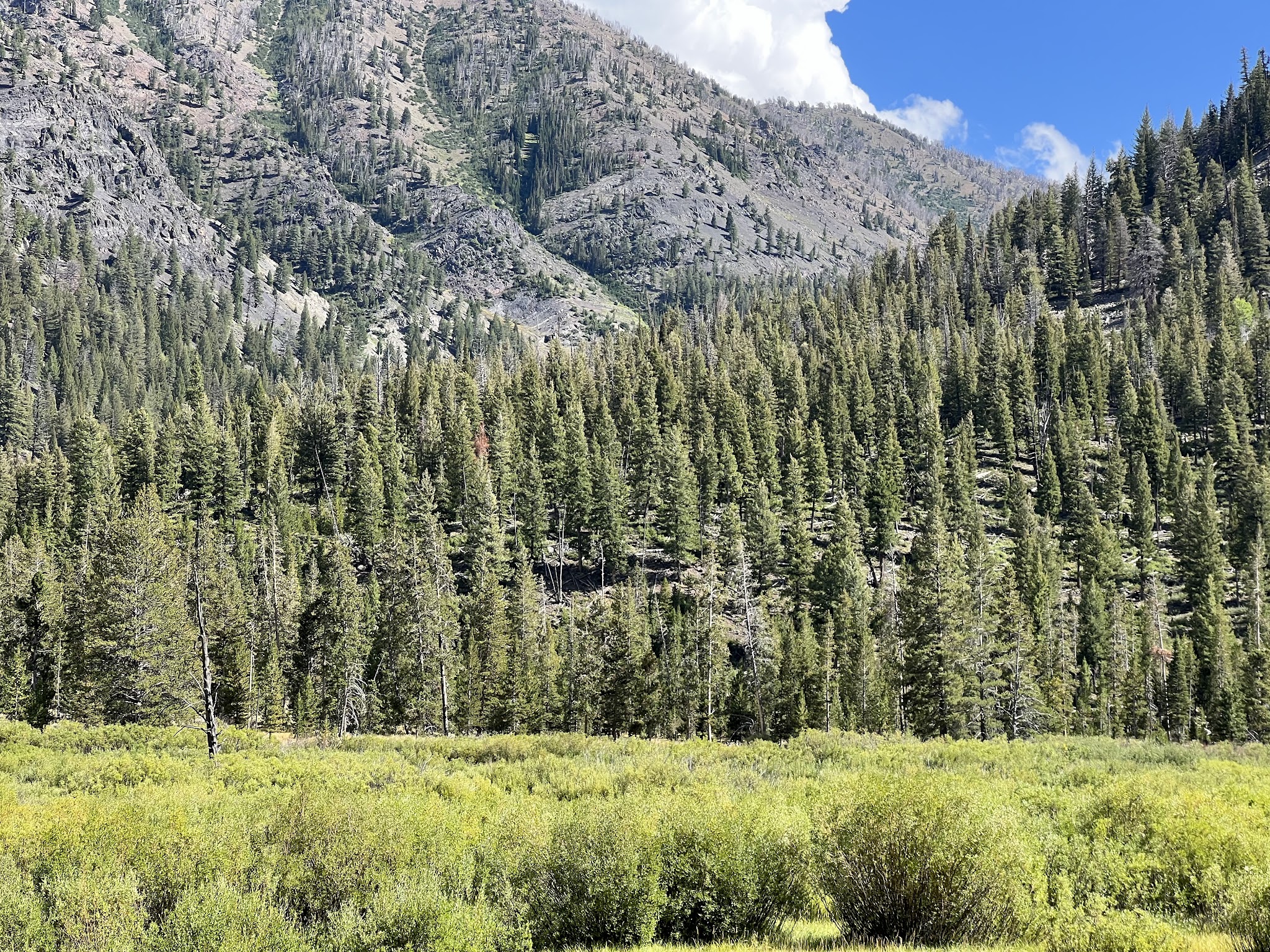 Phi Kappa Campground