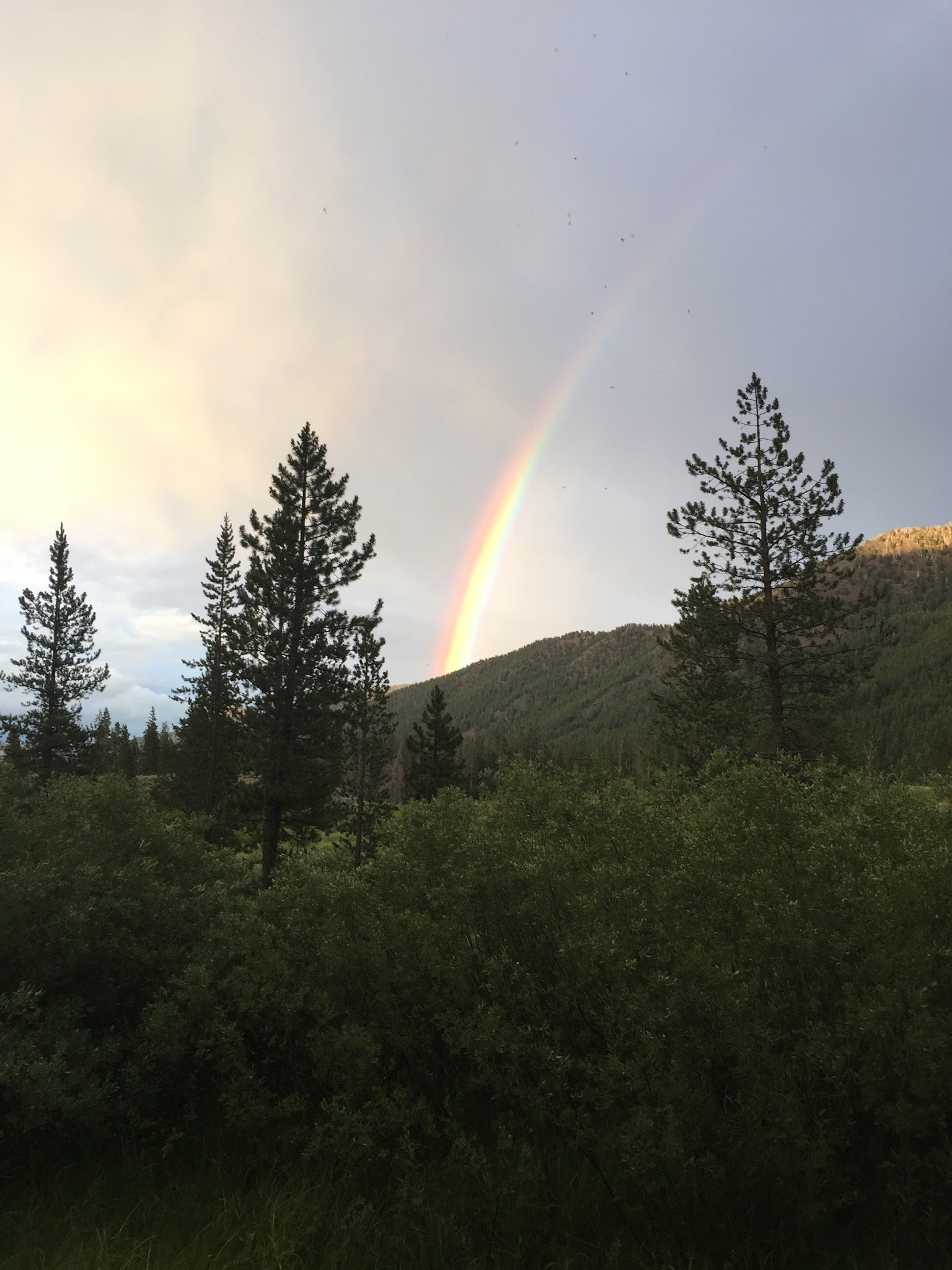 Phi Kappa Campground