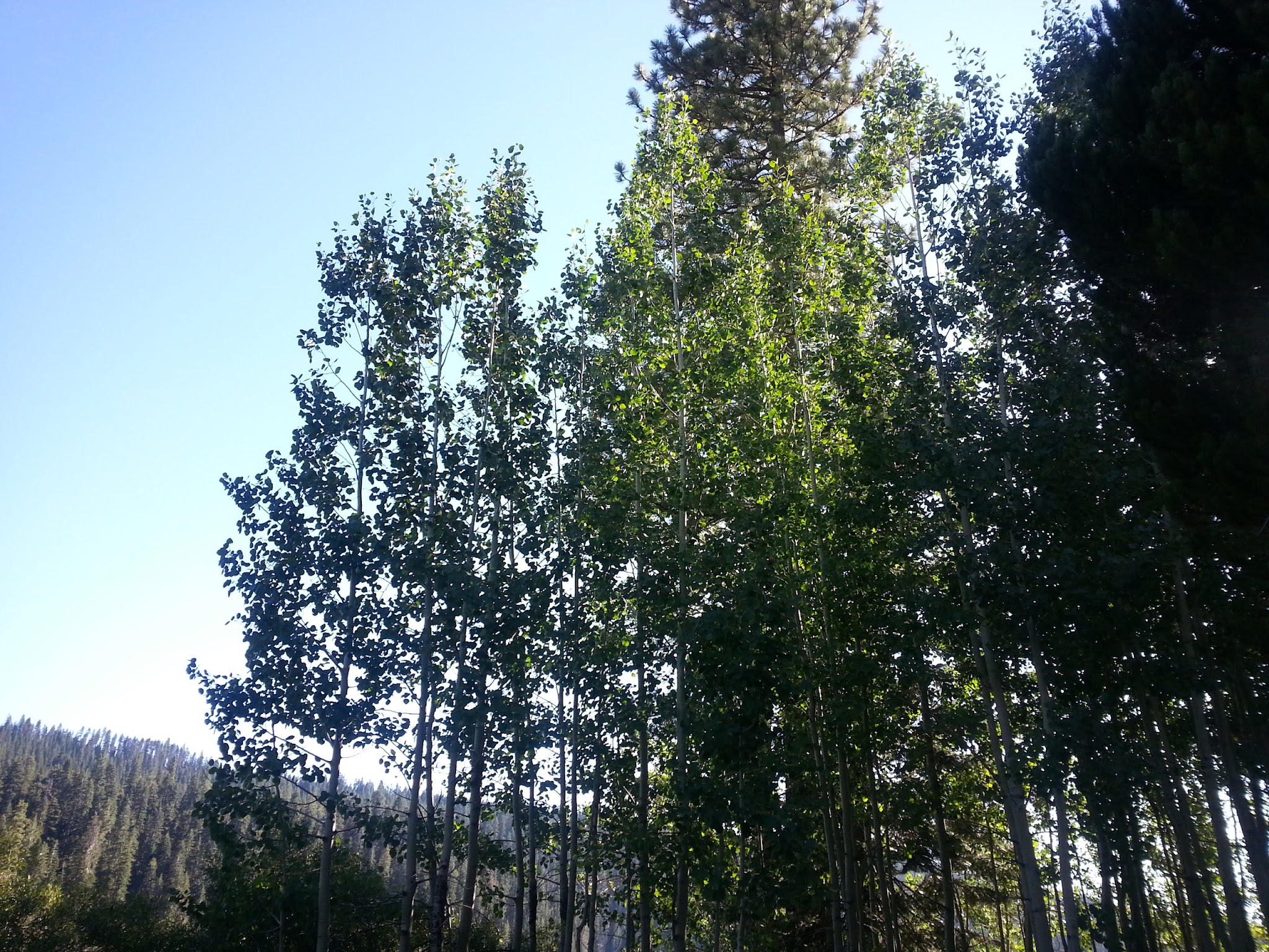 Philbrook Campground