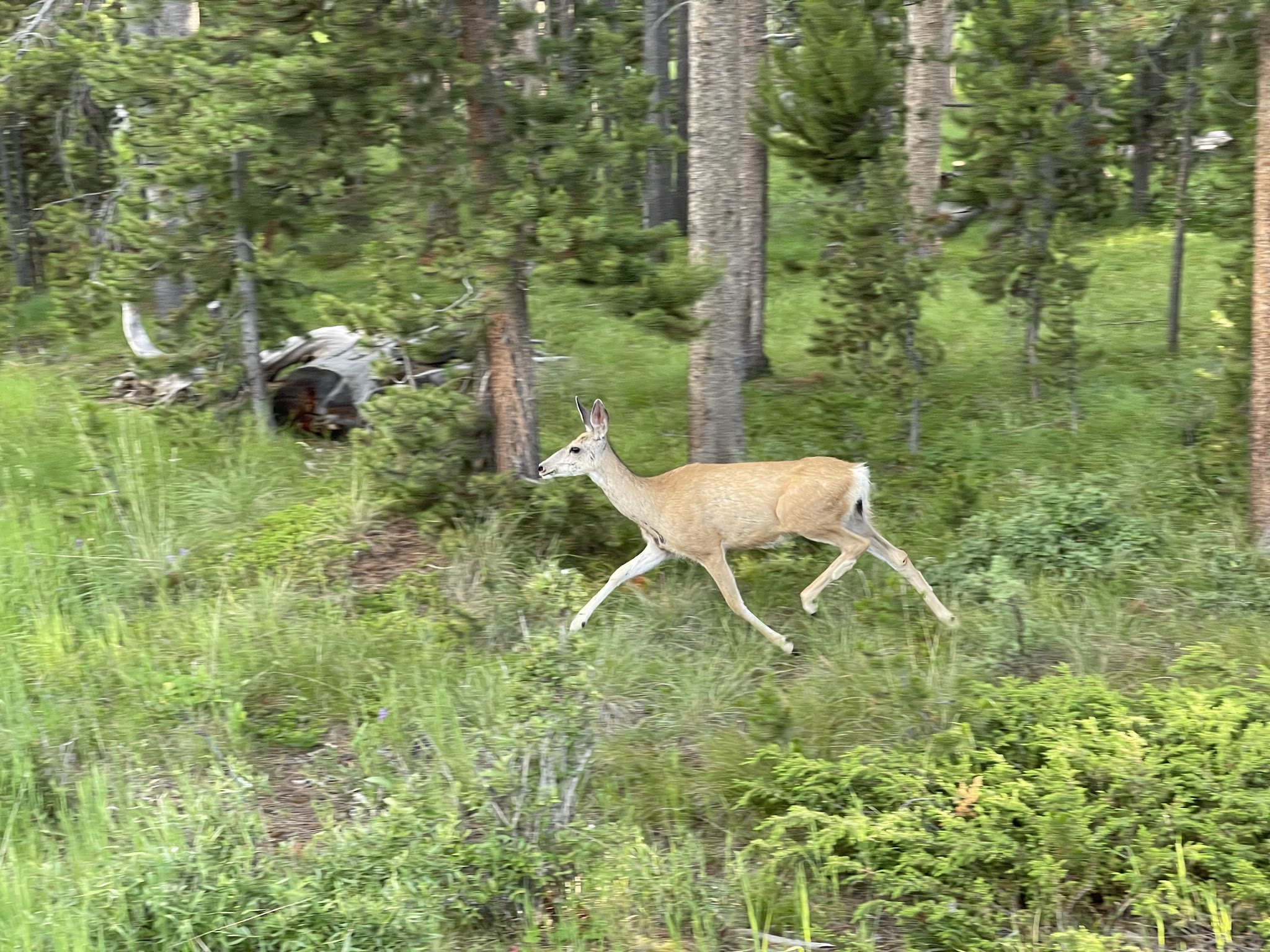 Philipsburg Bay Campground