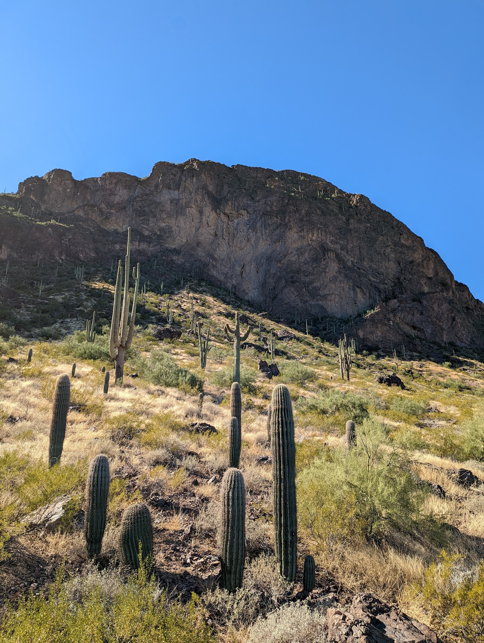 Bobcat Rustic Campground