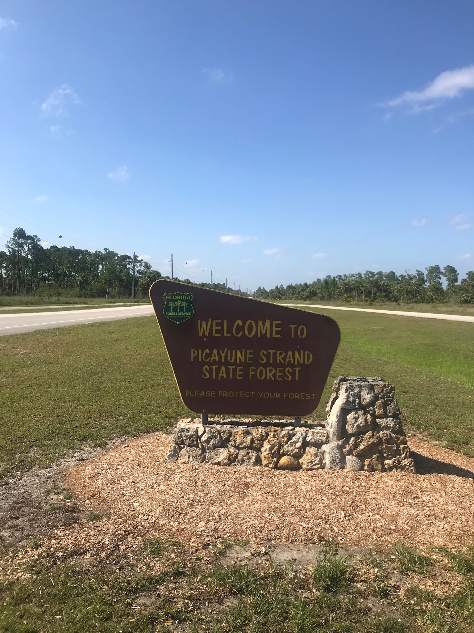 Horseshoe Primitive Hunt Camp Picayune Strand Forest