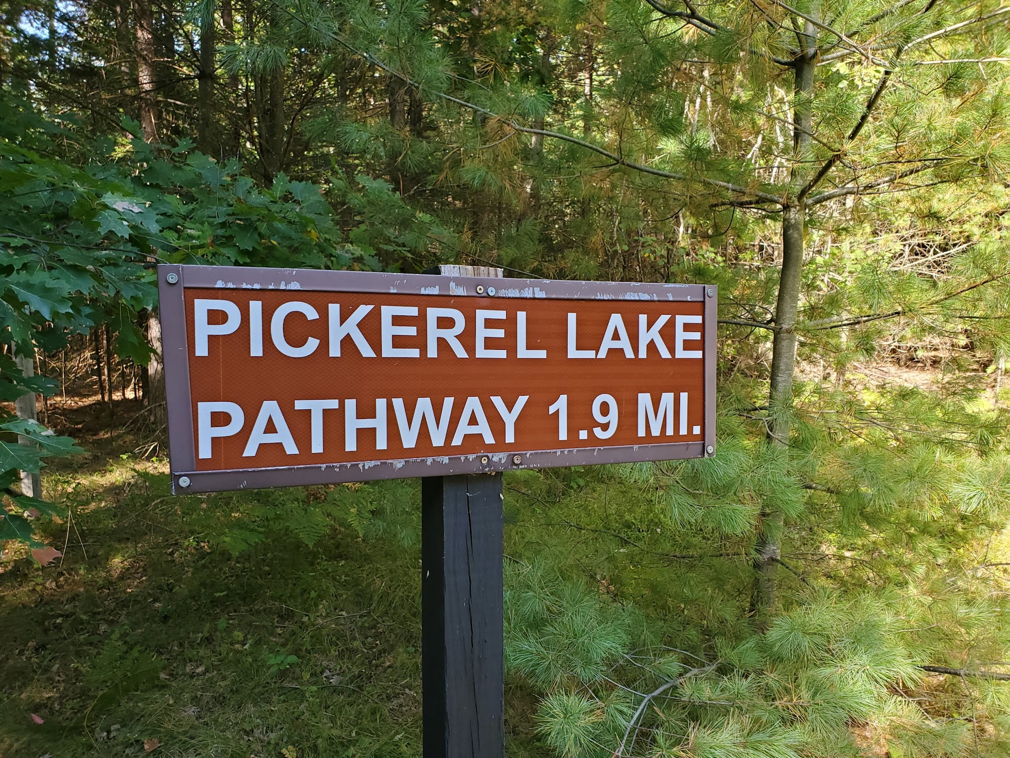 Pickerel Lake State Forest Campground (Otsego)
