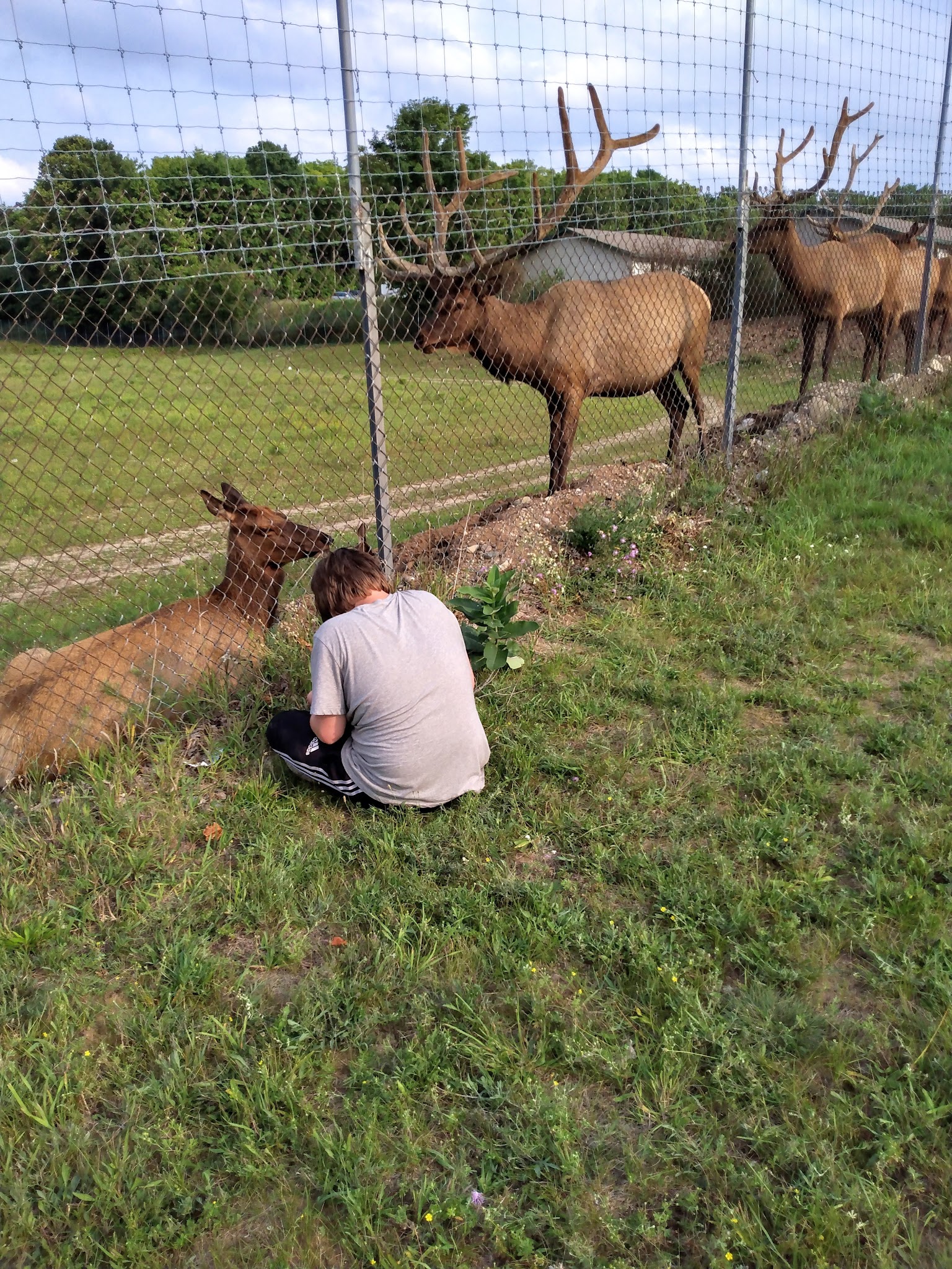 Pickerel Lake State Forest Campground (Otsego)