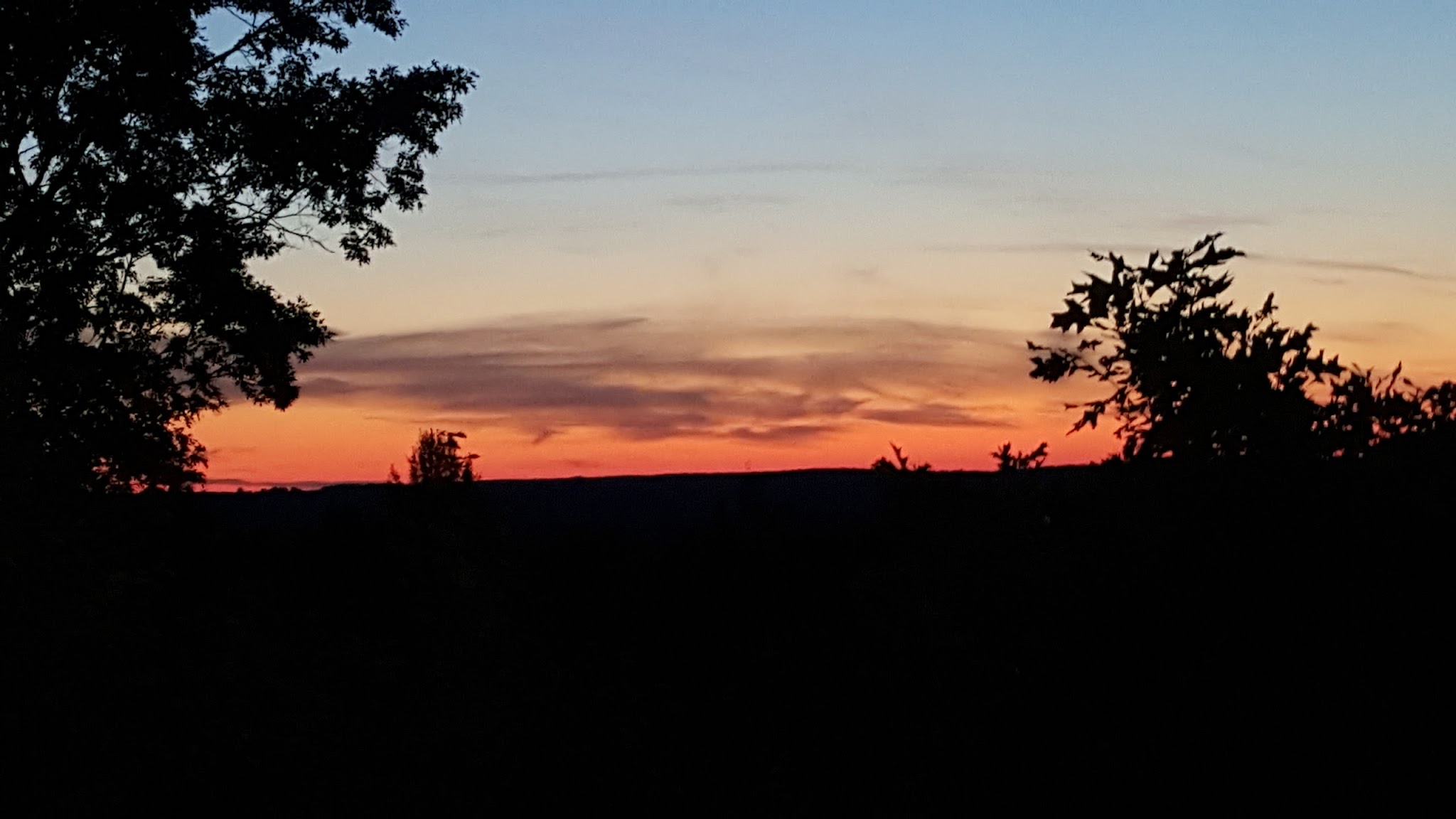 Pickerel Lake State Forest Campground (Otsego)