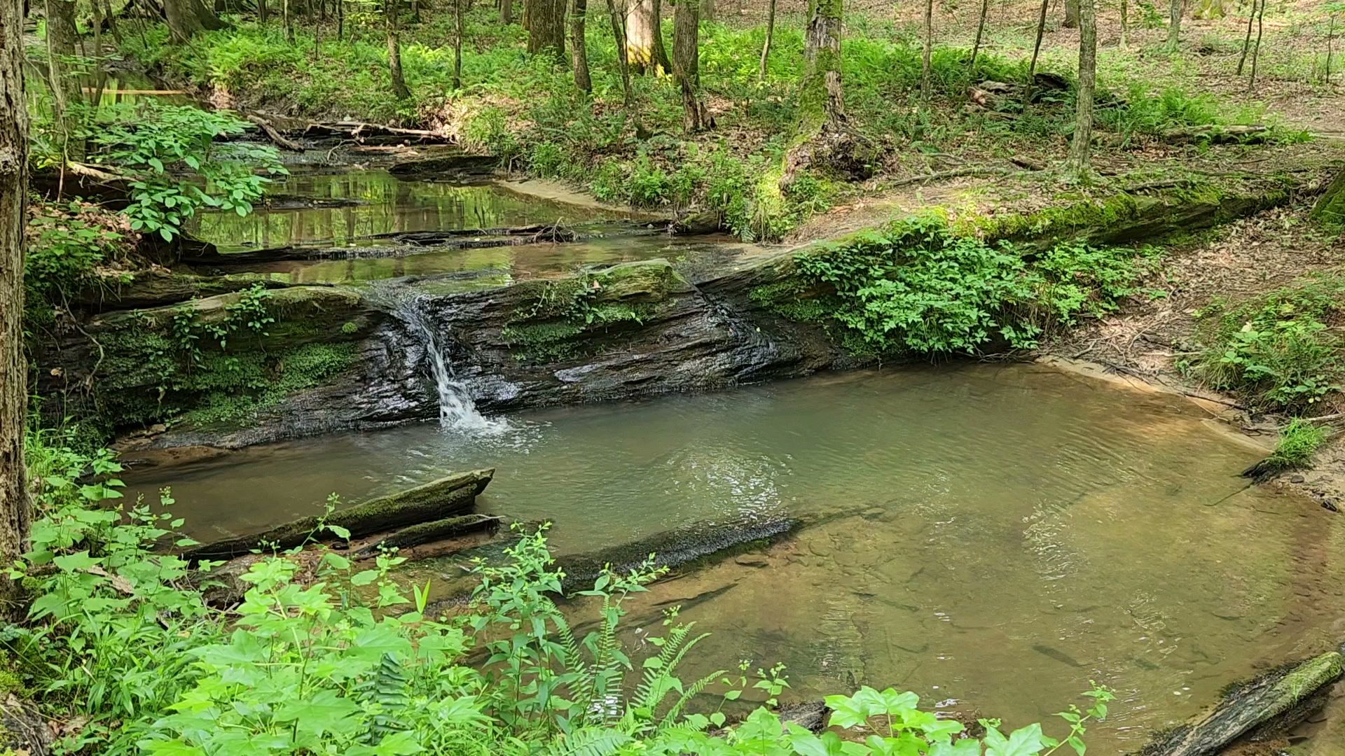 Pickett&Apos;S Mill Battlefield State Historic Site