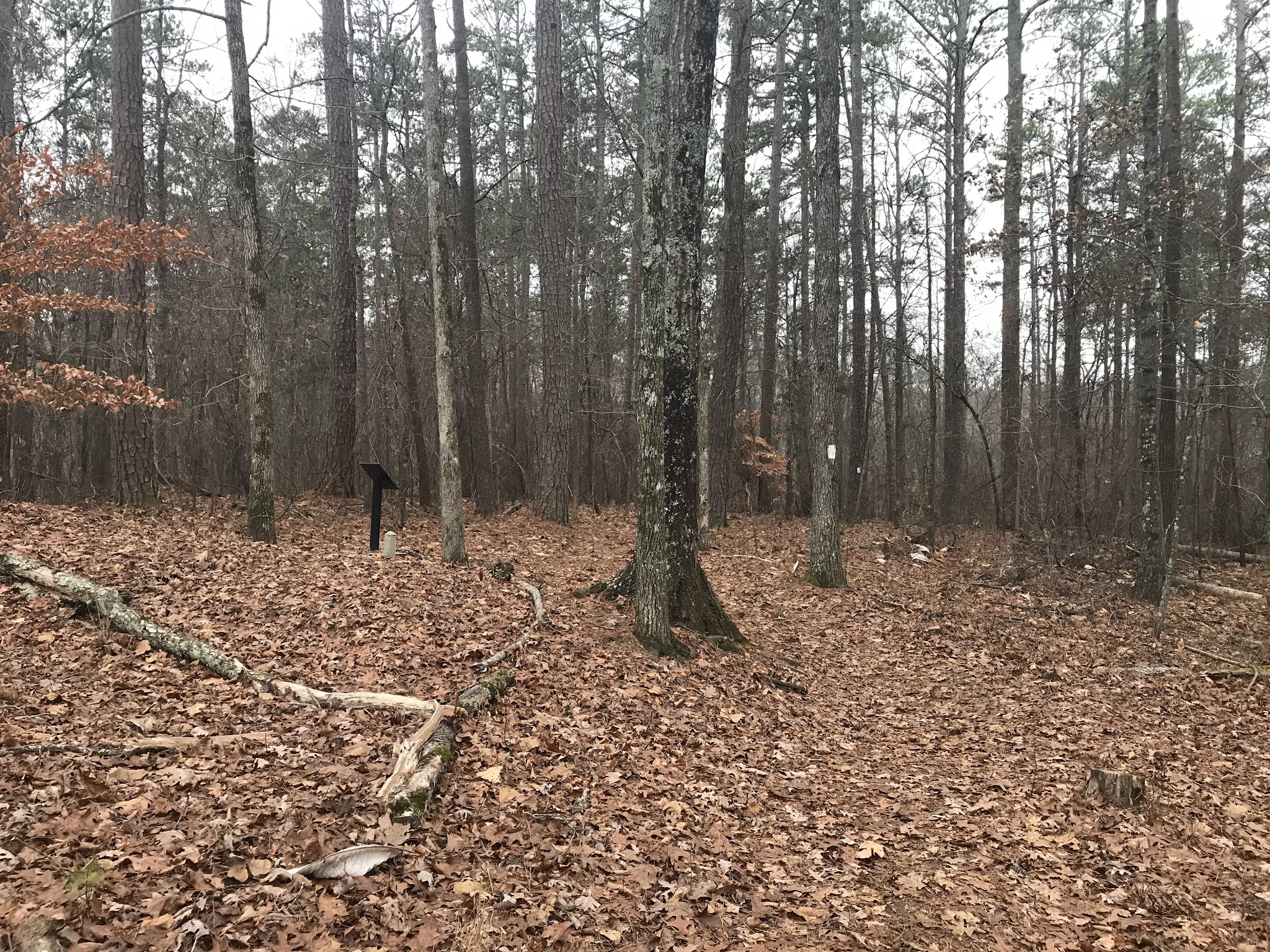 Pickett&Apos;S Mill Battlefield State Historic Site
