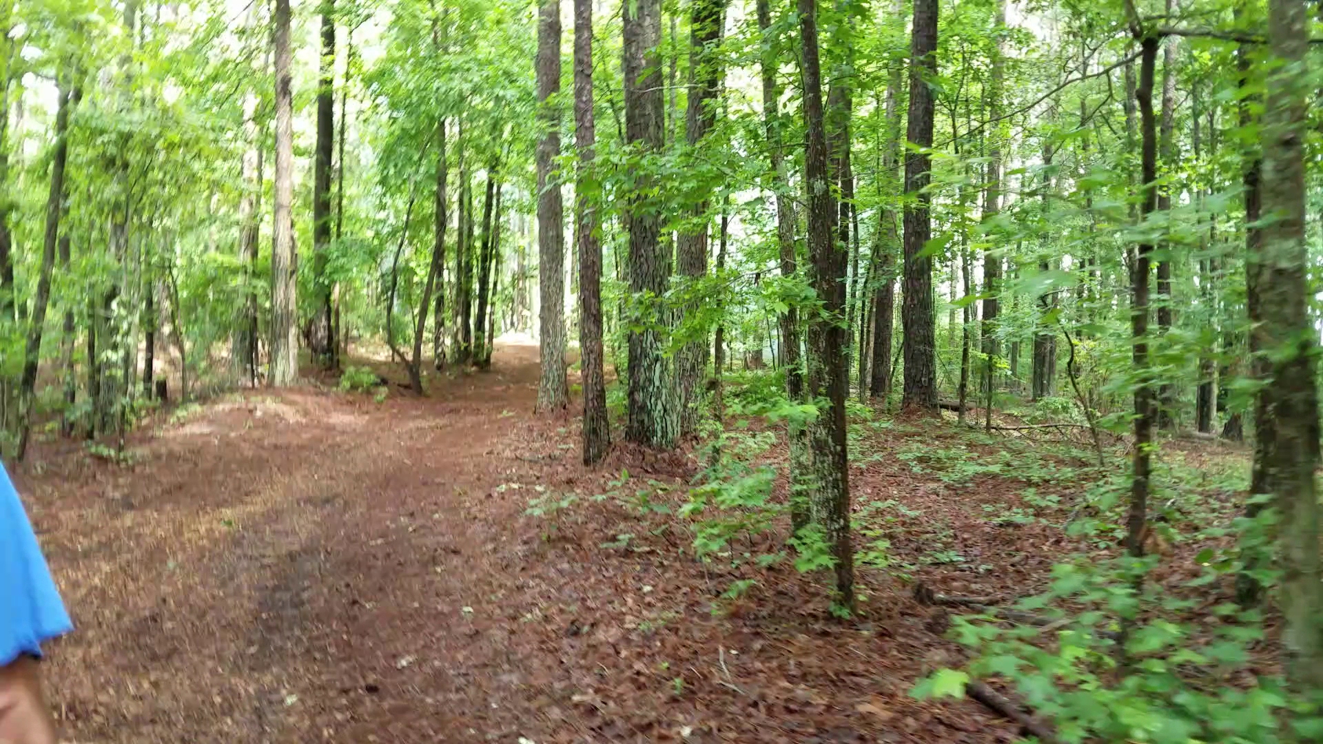 Pickett&Apos;S Mill Battlefield State Historic Site