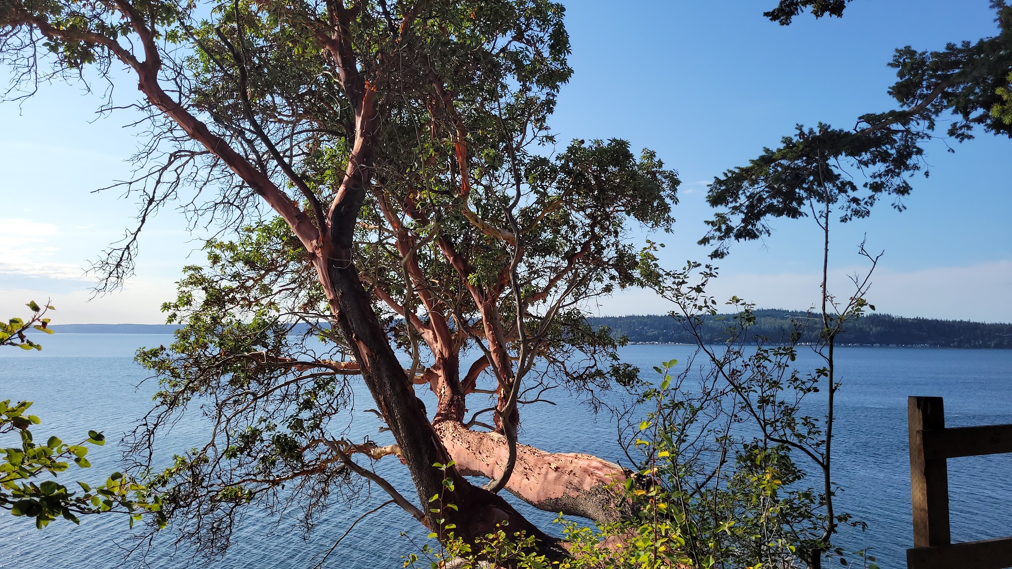 Camano Island State Park