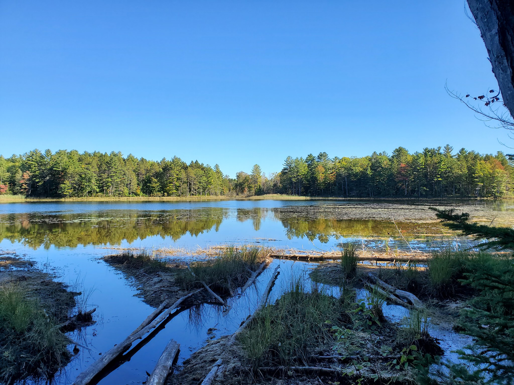 Pigeon Bridge State Forest Campground