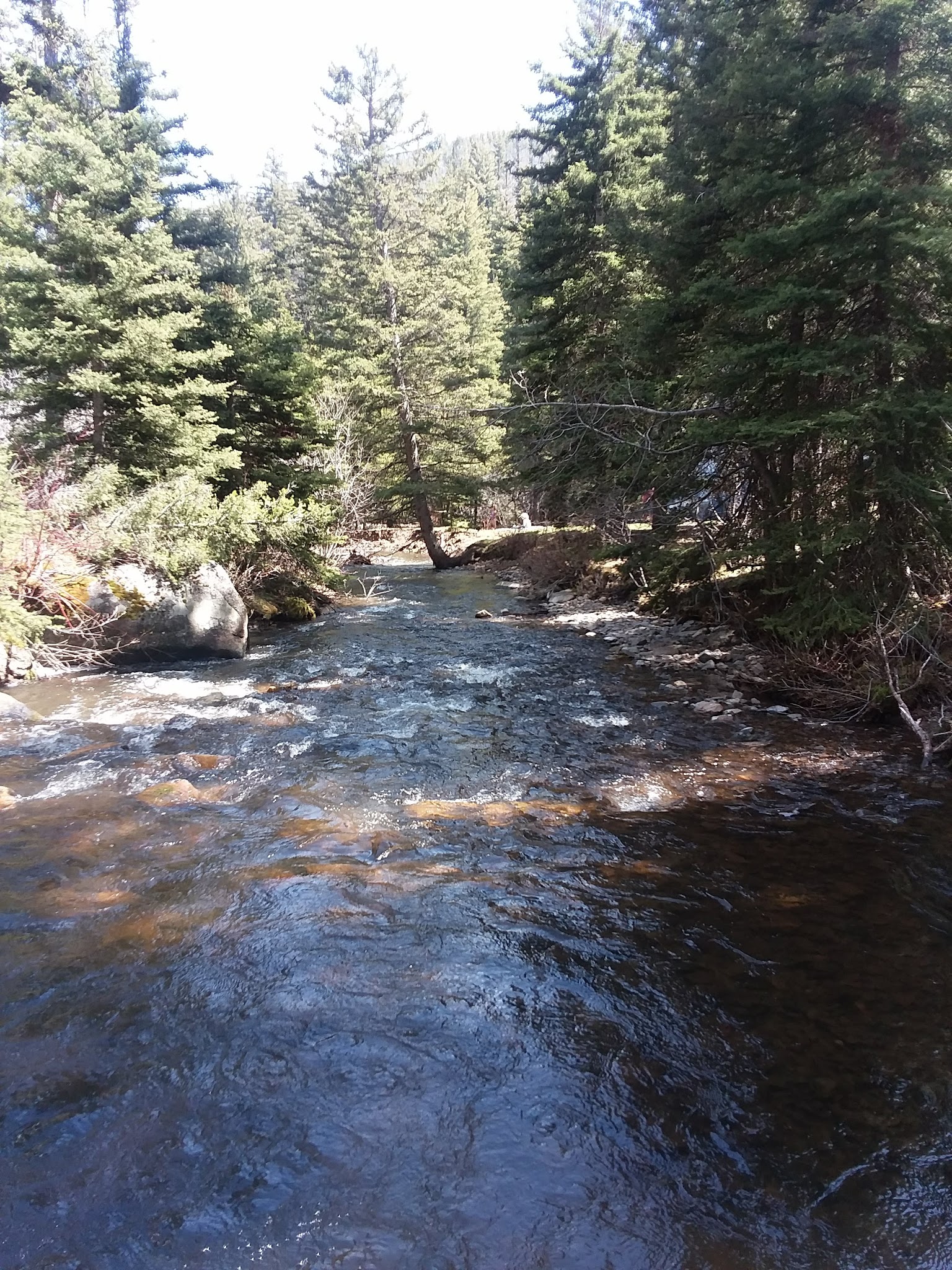 Pigeon Creek Campground