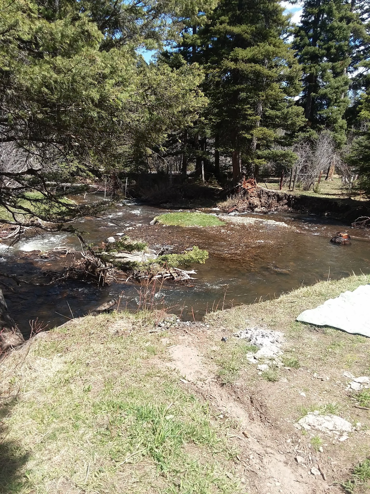 Pigeon Creek Campground