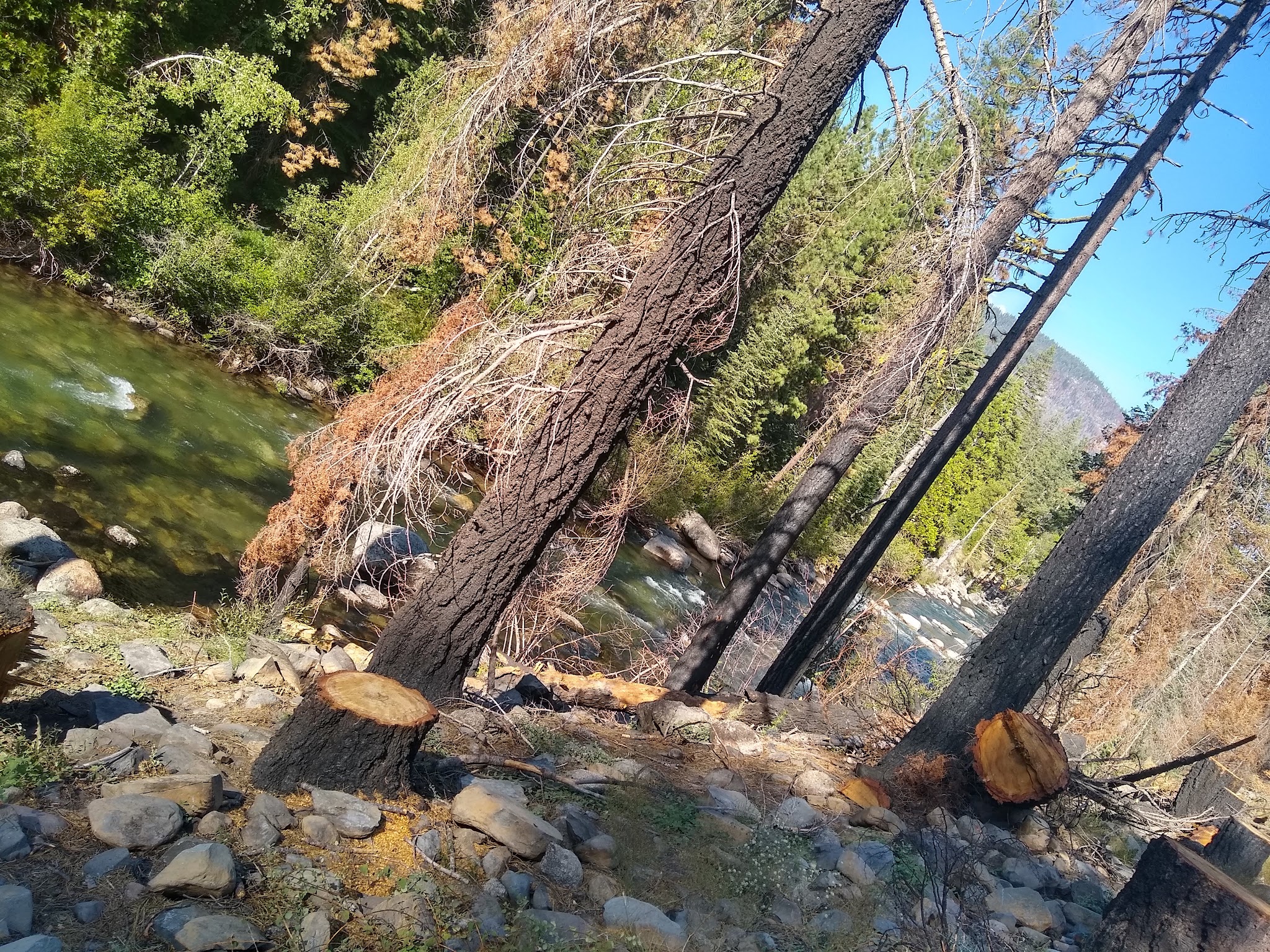 Pigeon Flat Campground