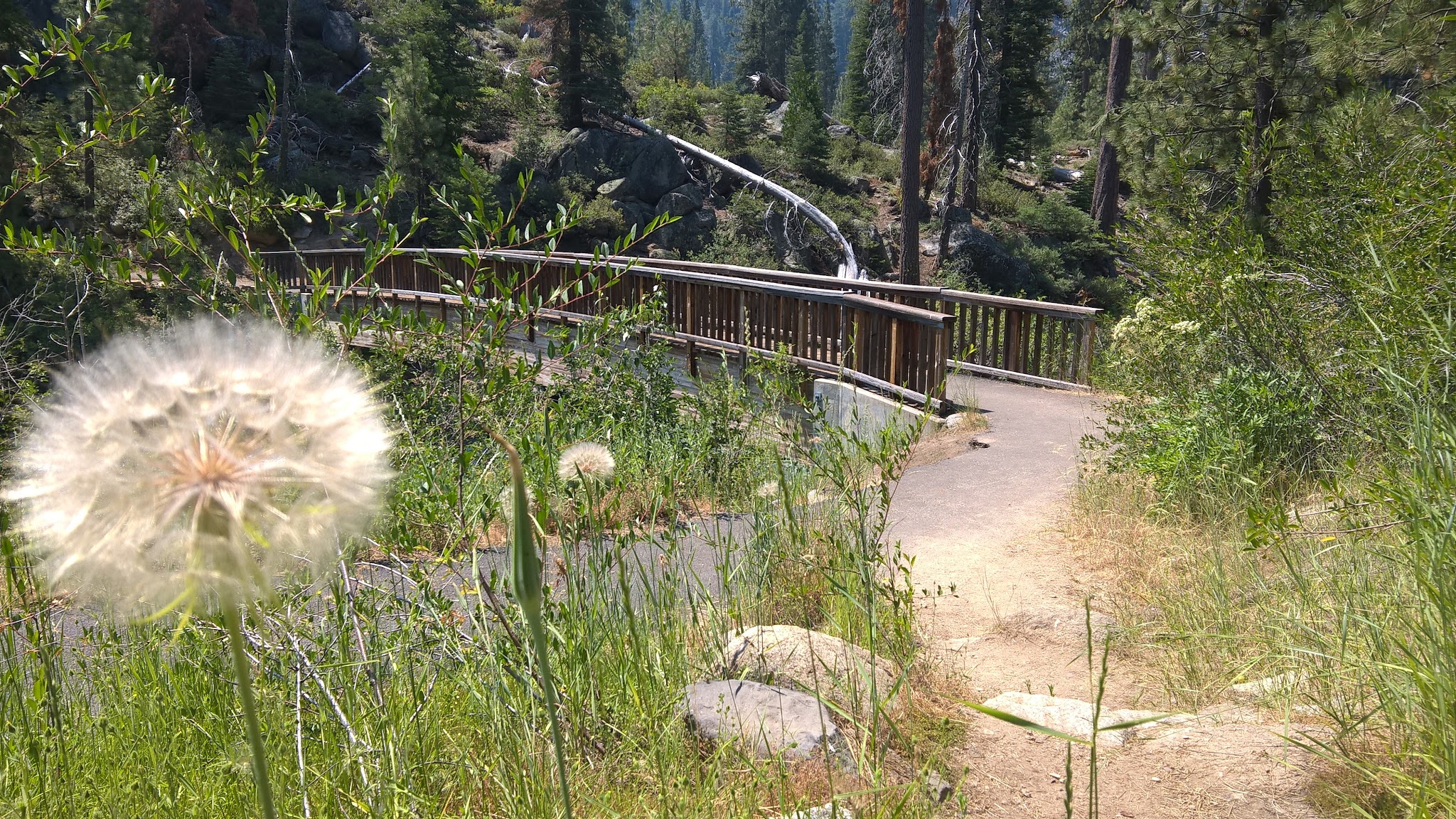 Pigeon Flat Campground