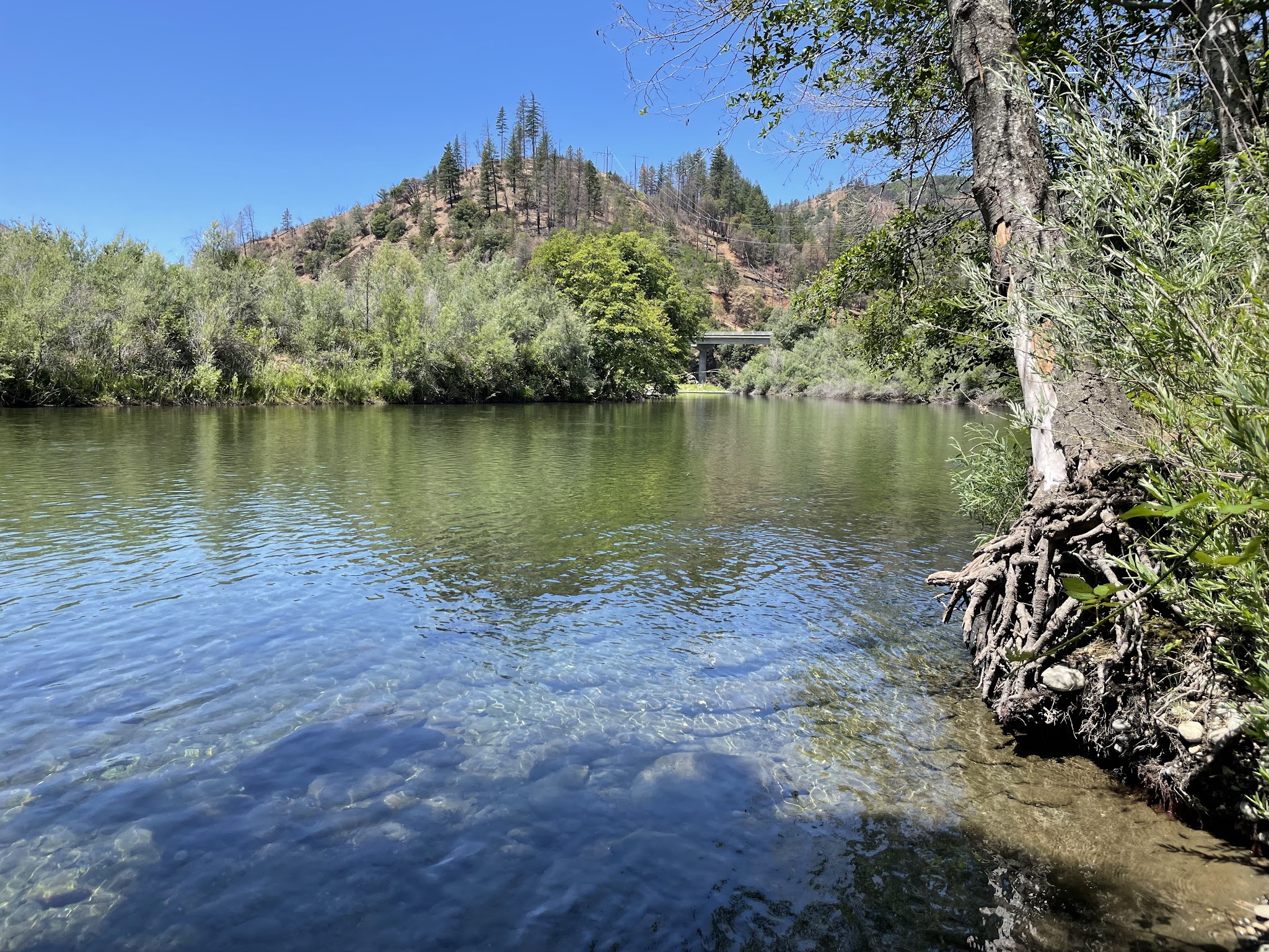 Pigeon Point Group Campground