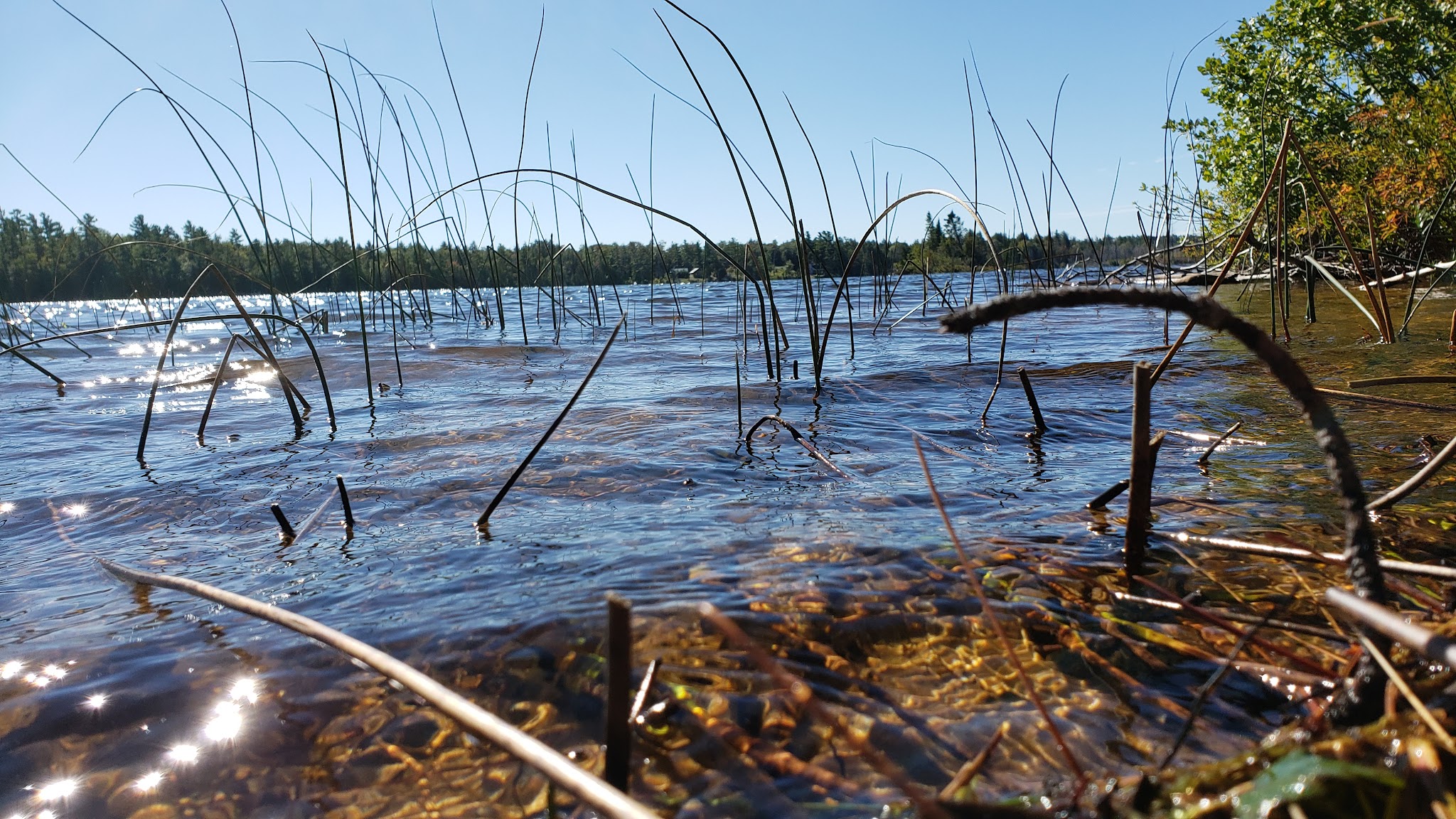 Pike Lake State Forest Campground (Luce)