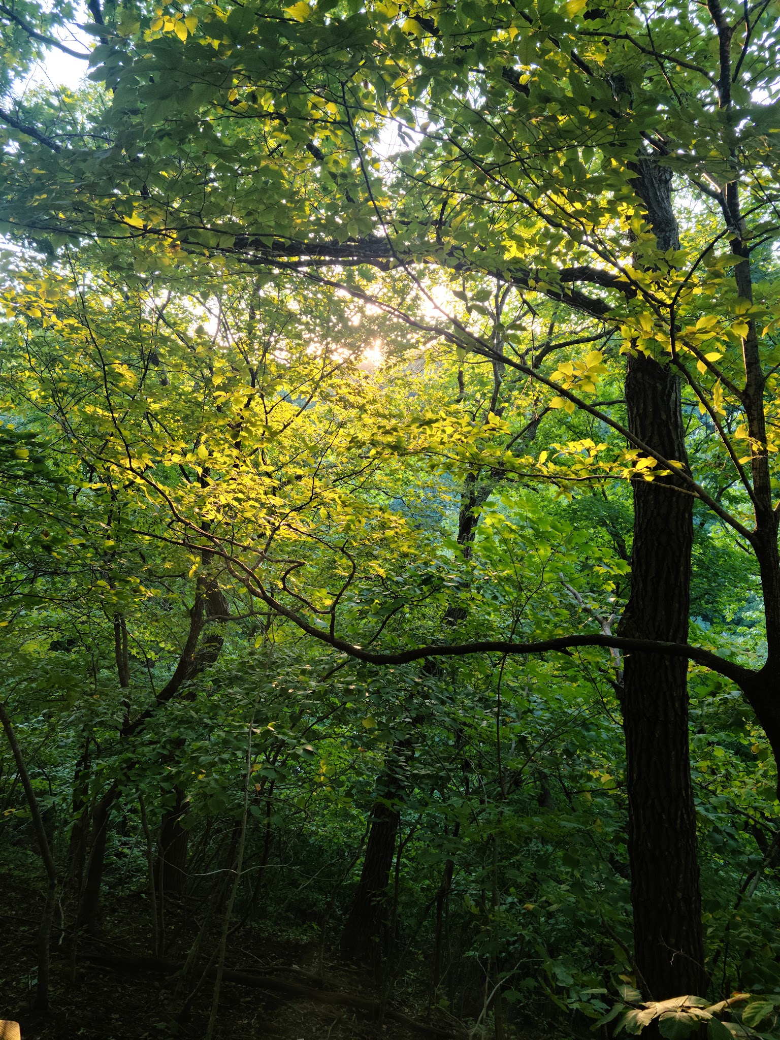 Pikes Peak State Park