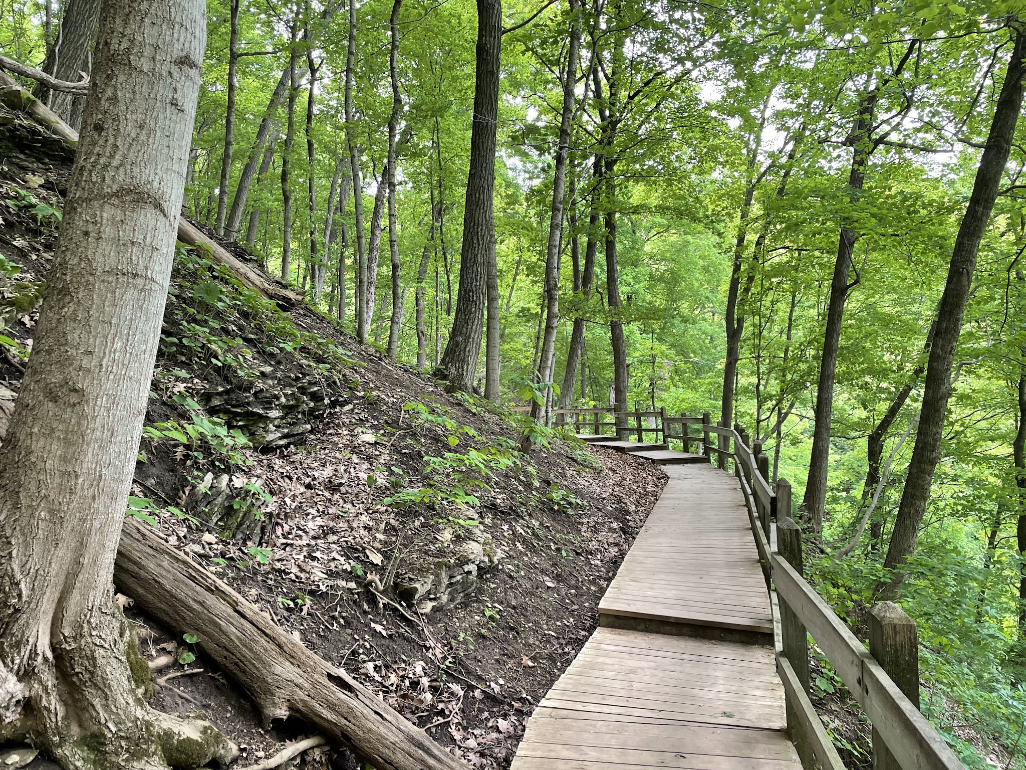 Pikes Peak State Park