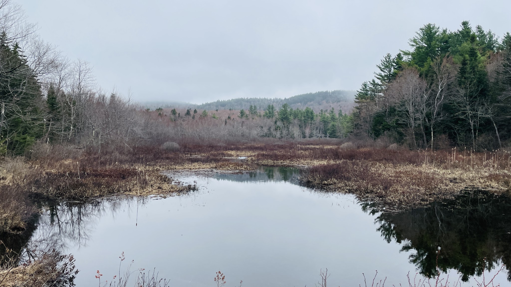 Pillsbury State Park