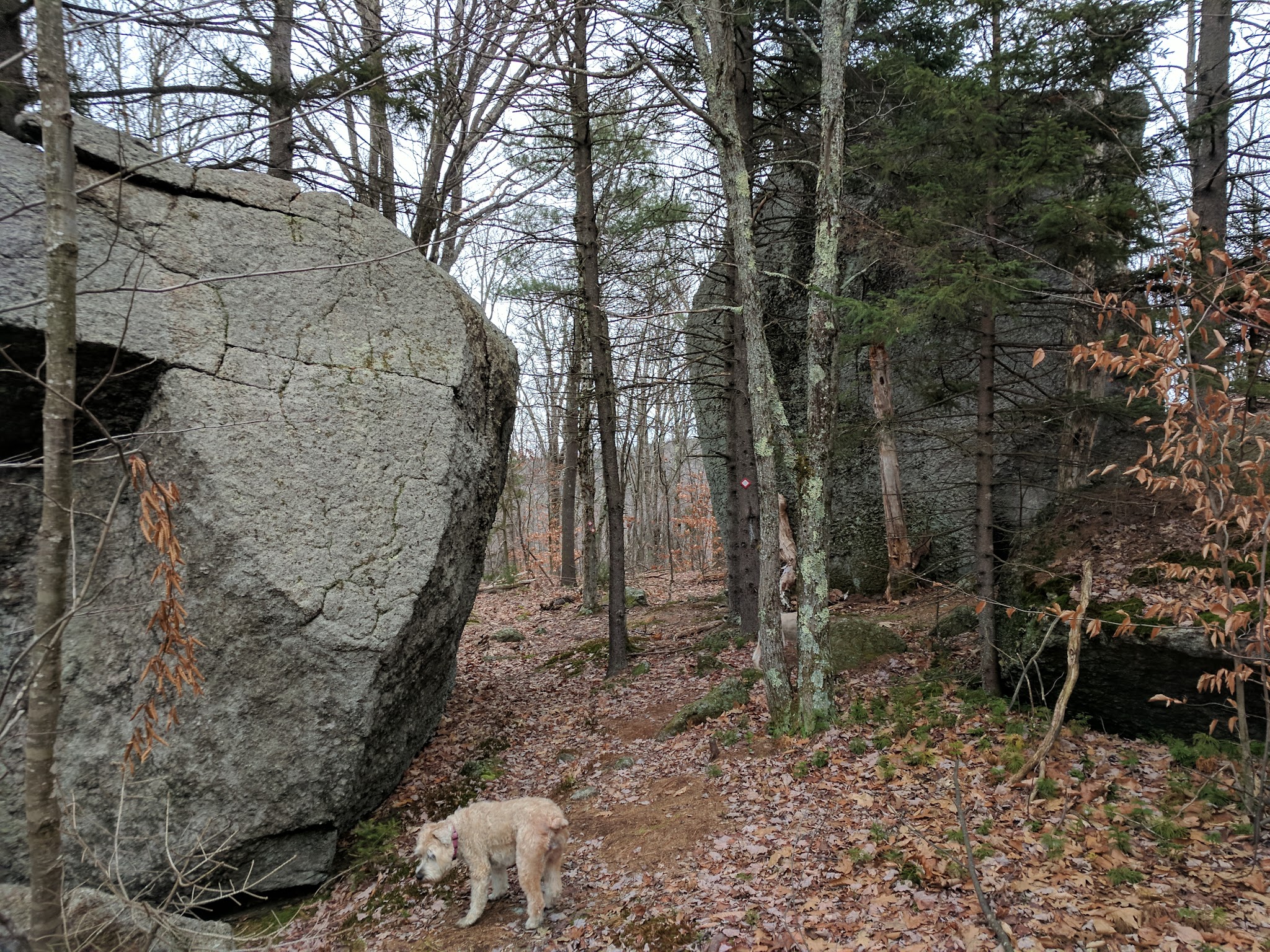 Pillsbury State Park