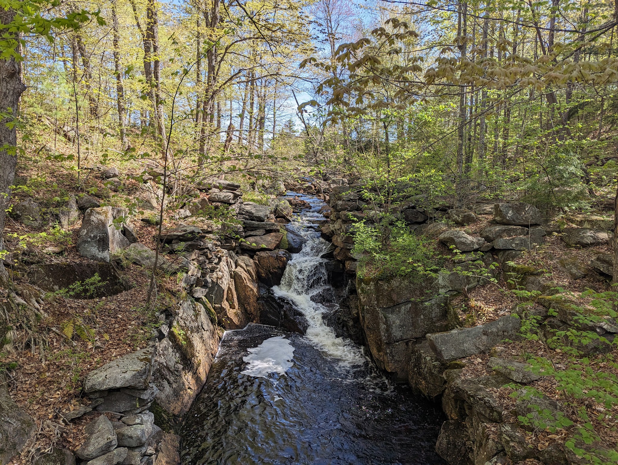 Pillsbury State Park