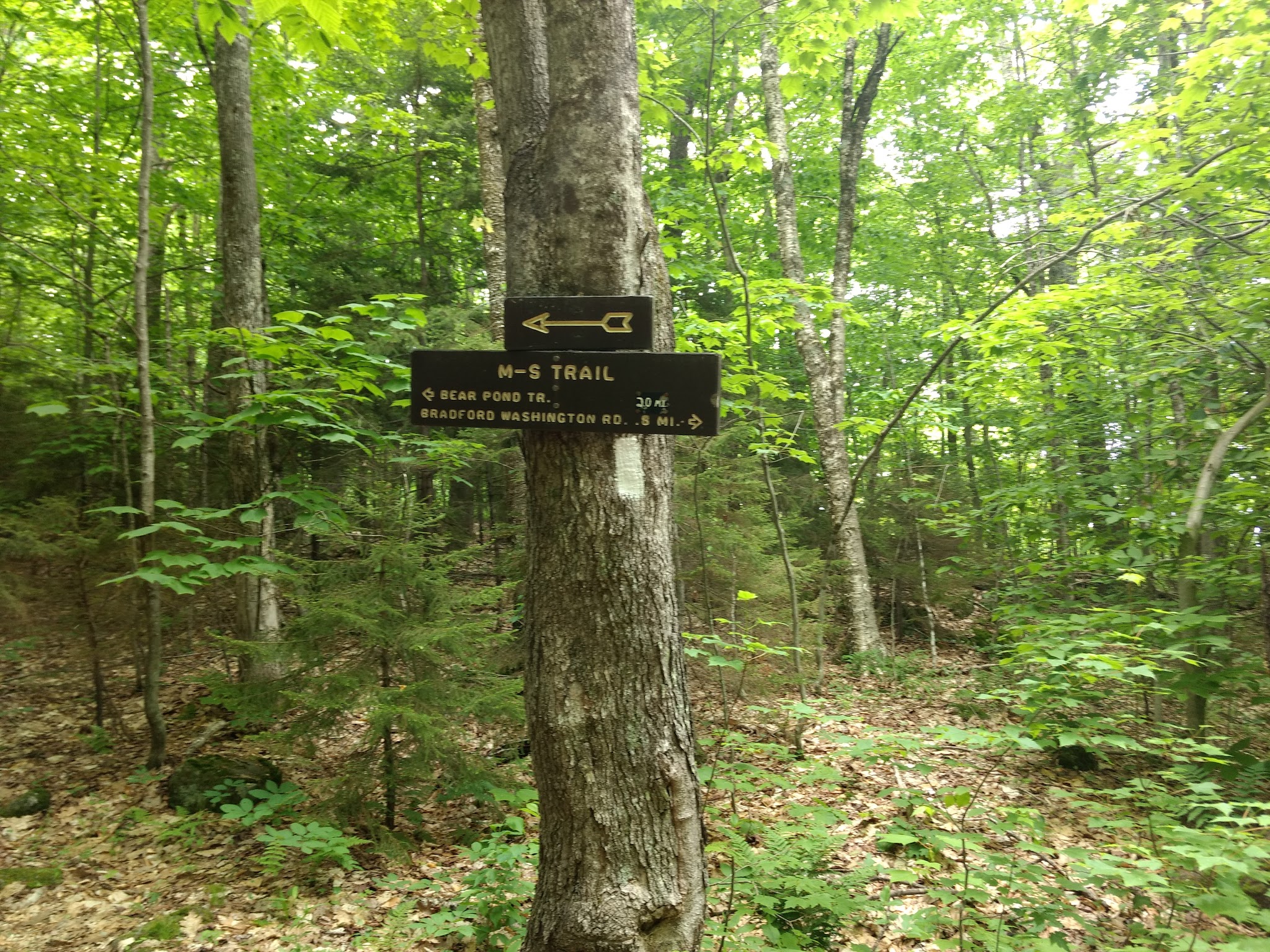 Pillsbury State Park