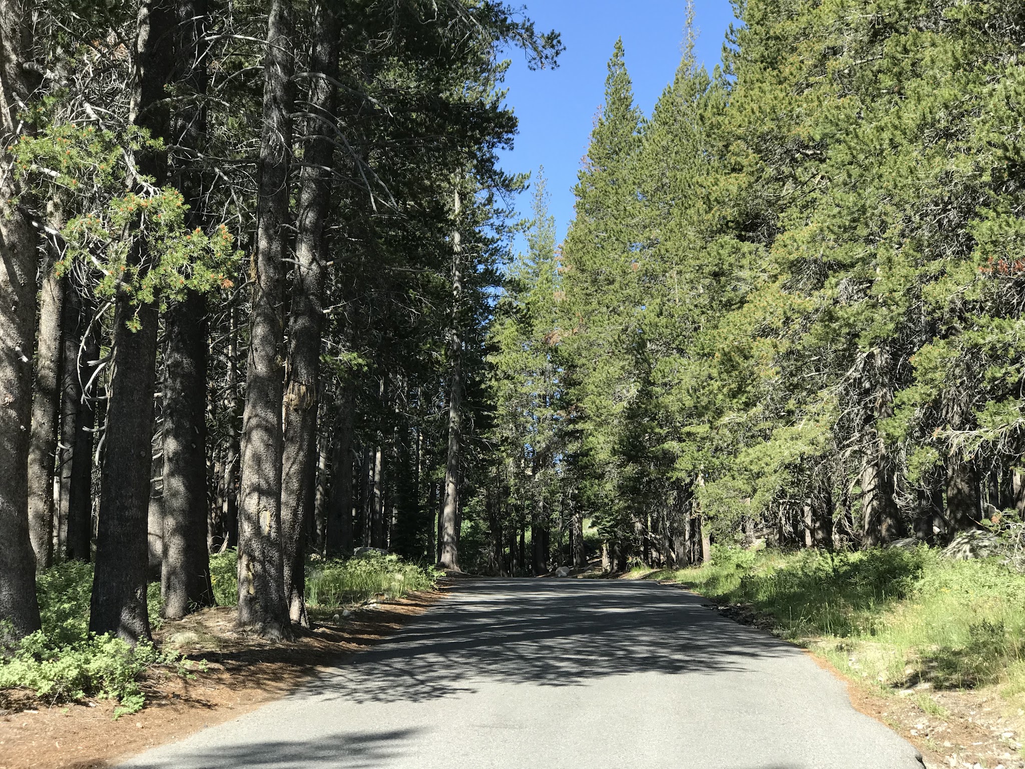 Pine City Campground