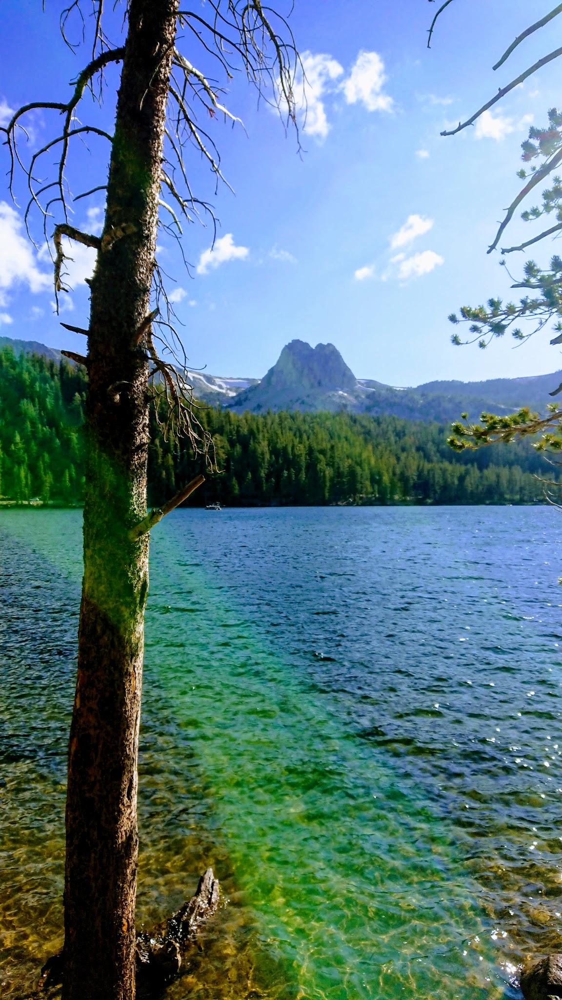 Pine City Campground