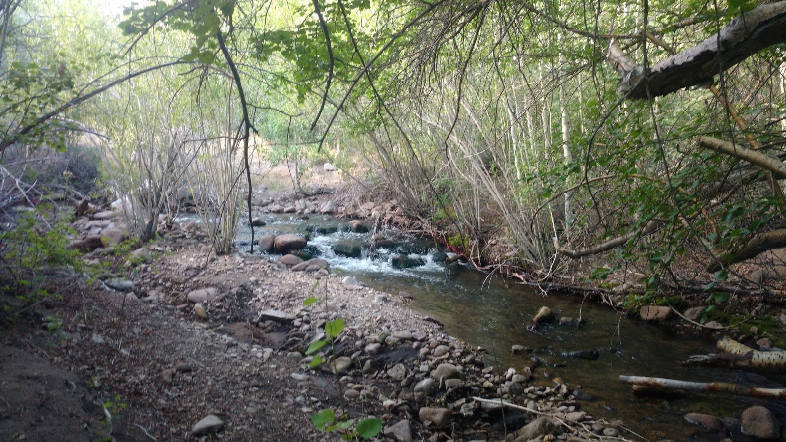 Pine Creek Campground