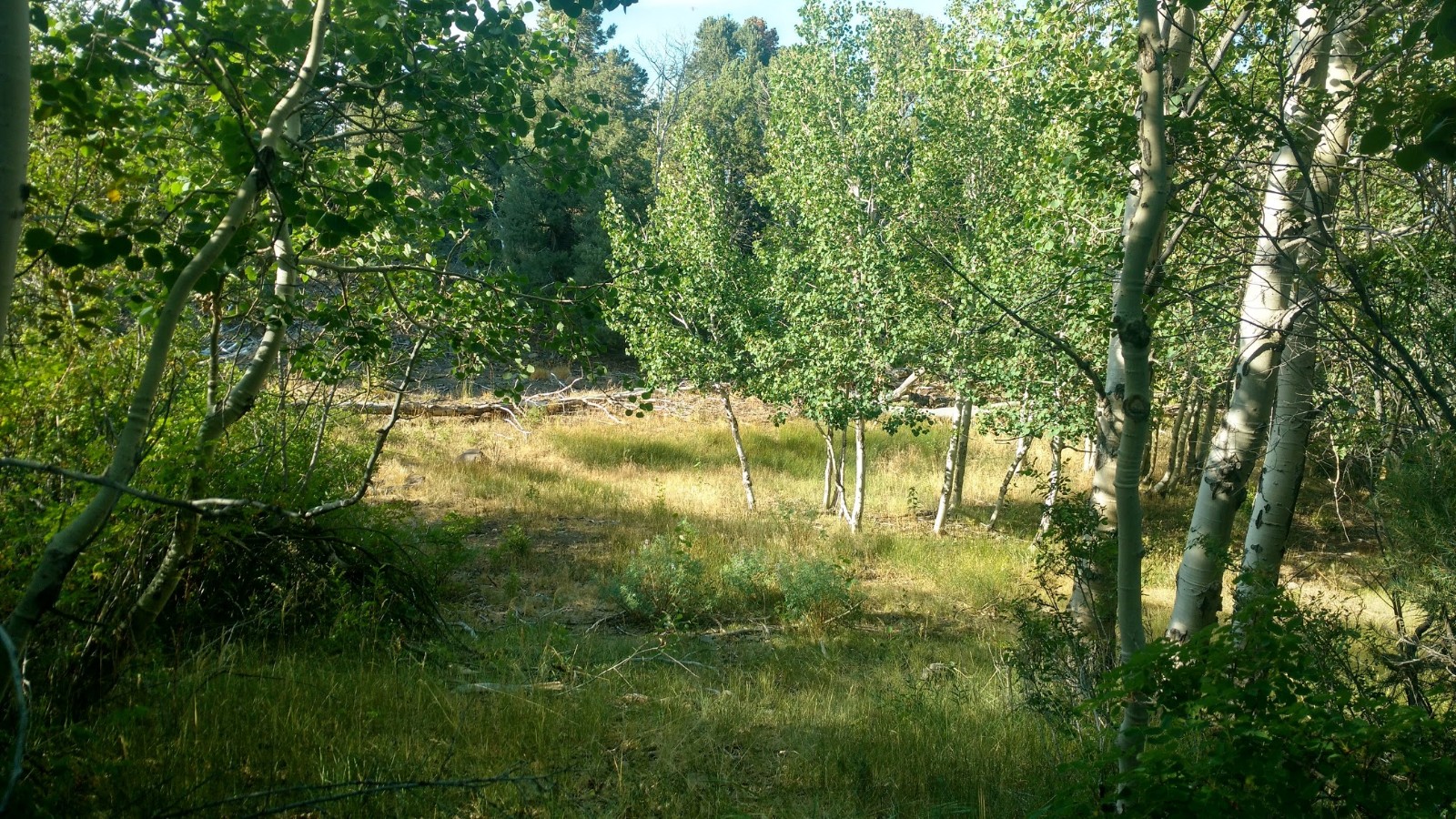 Pine Creek Campground