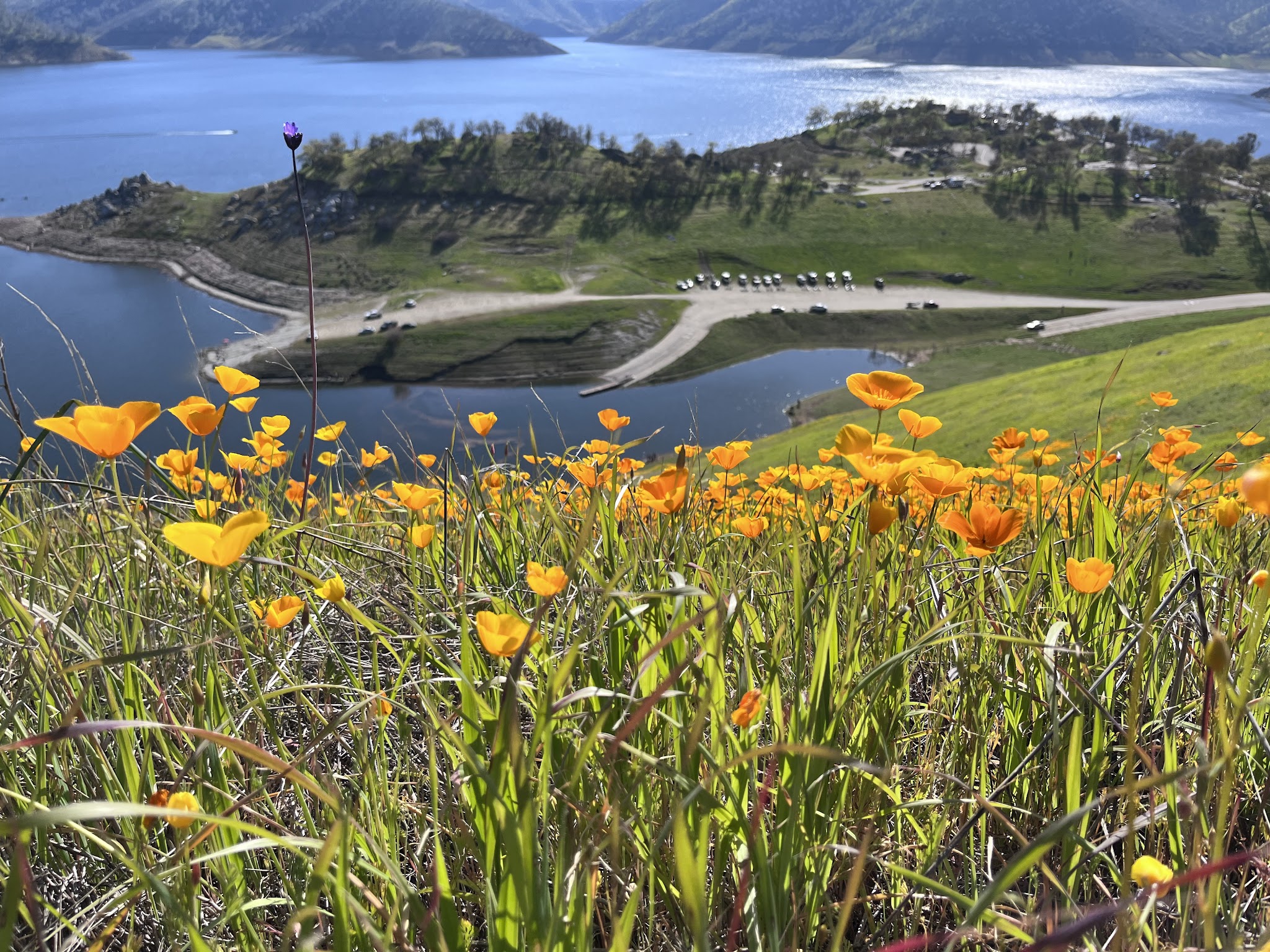 Pine Flat Campground