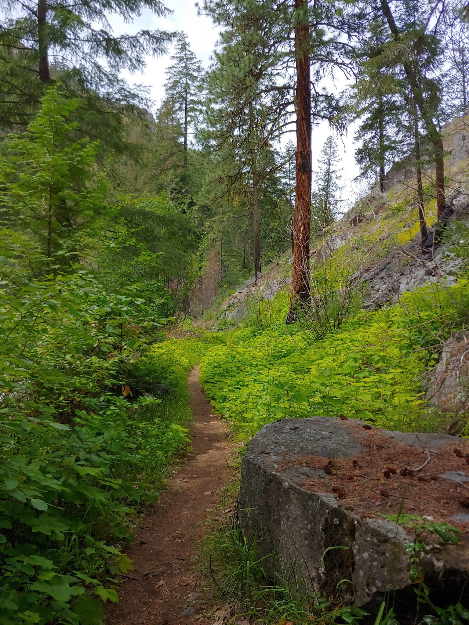 Pine Flats Group Campground