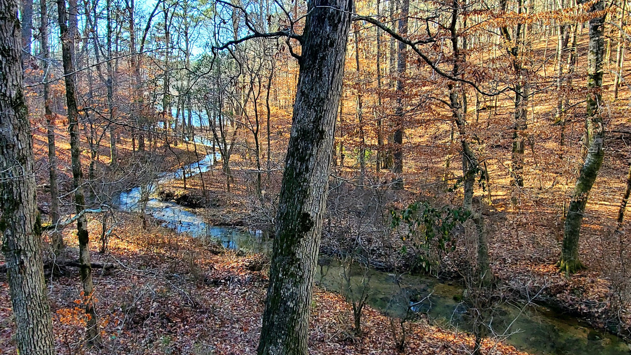 Pine Glen Recreation Area