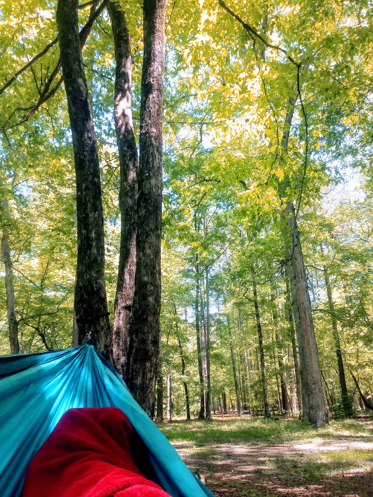Pine Glen Recreation Area