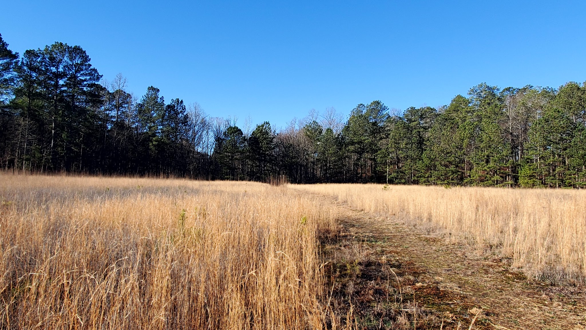 Pine Glen Recreation Area