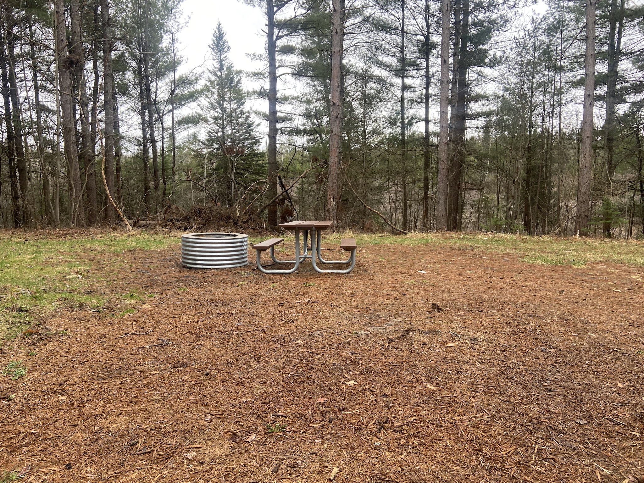 Pine Grove State Forest Campground