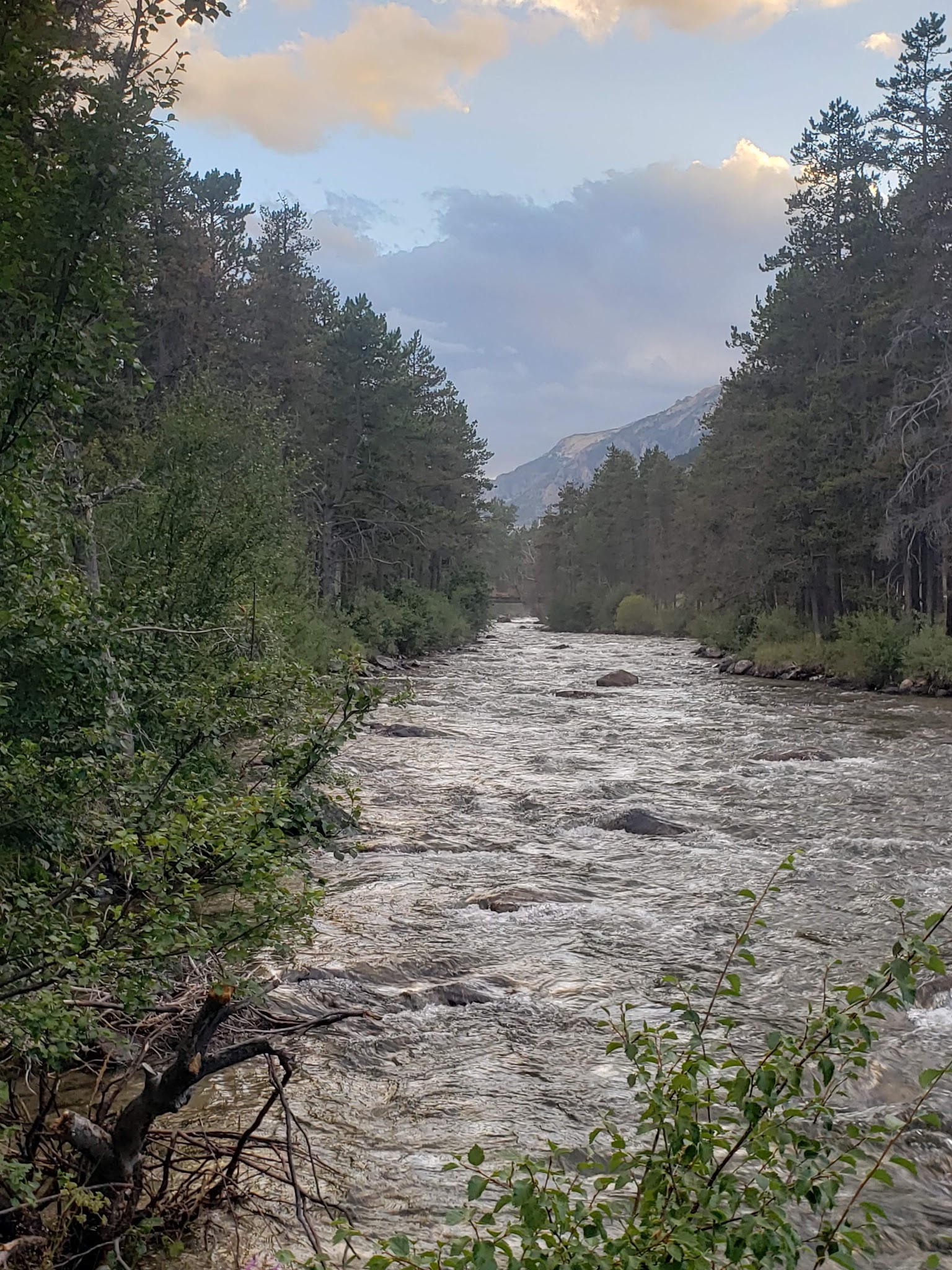 Pine Grove Campground